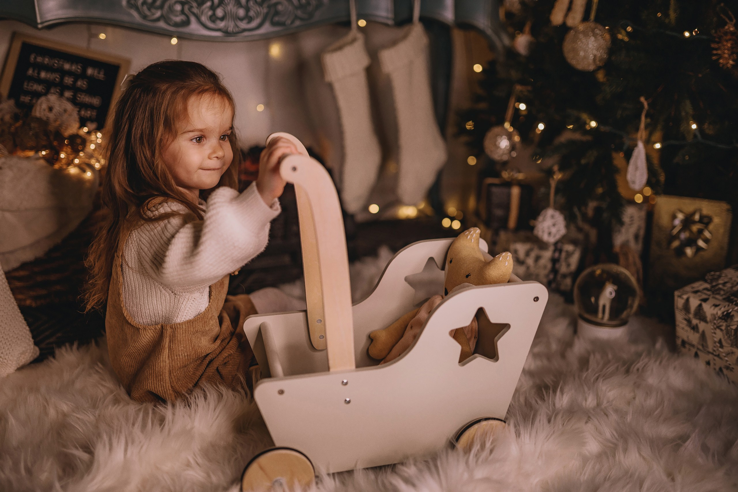 11.26.2025 Christmas Photoshoot. Wedding family event photographer in Chicago Nick Yushevich