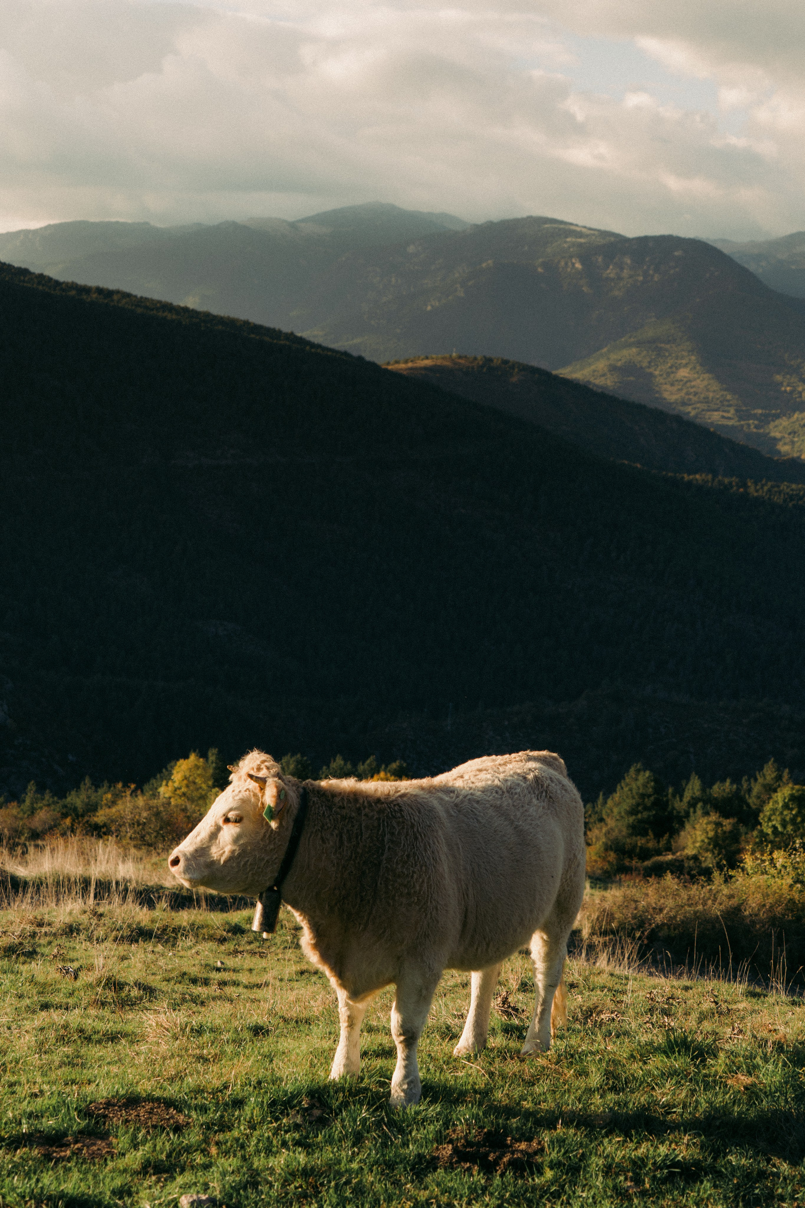 Galeria. Creador de contenido visual en Barcelona | Dima Kit