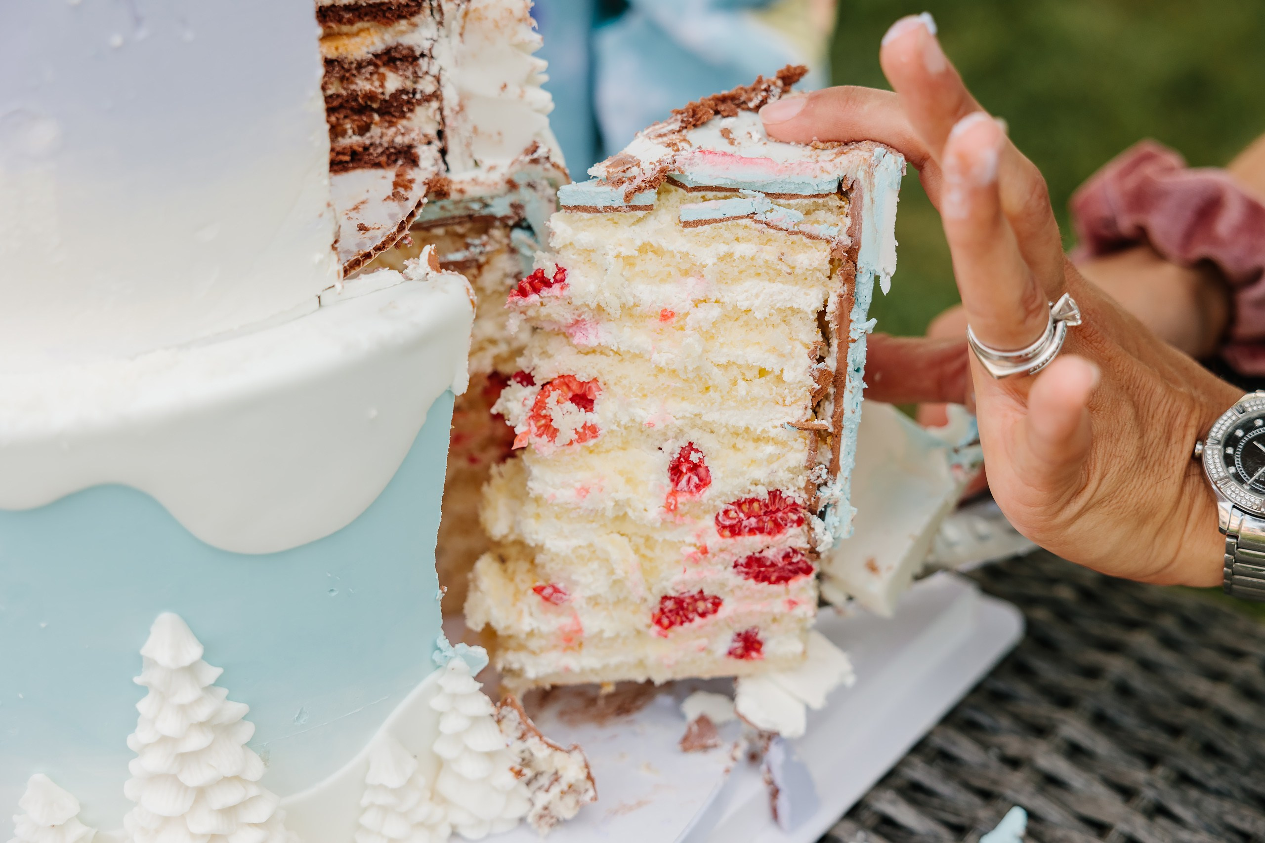 07.27.2024 Birthday Party. Wedding family event photographer in Chicago Nick Yushevich