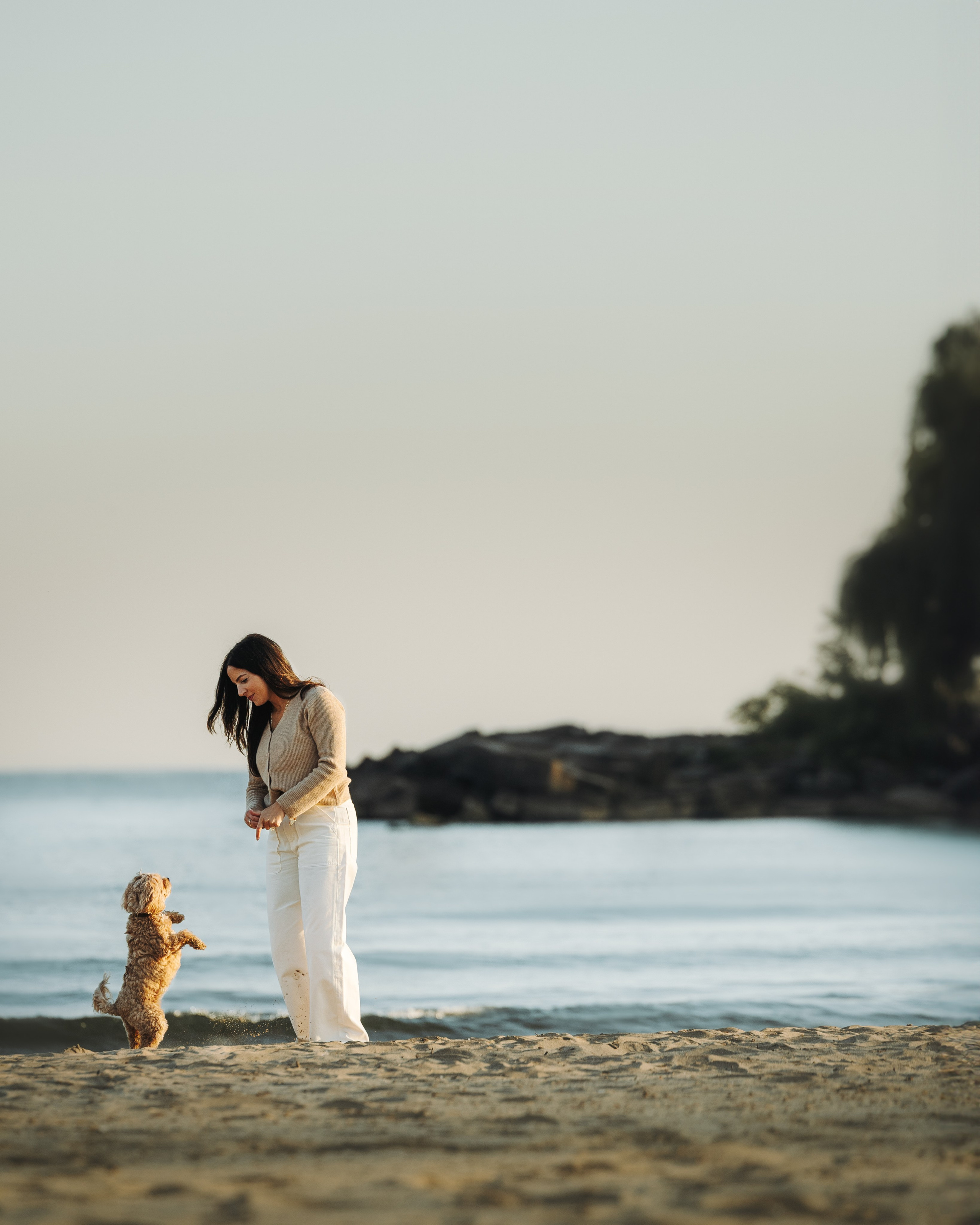 Sunny & Elizabeth. Pet Photographer Viktoriya Aleshenko