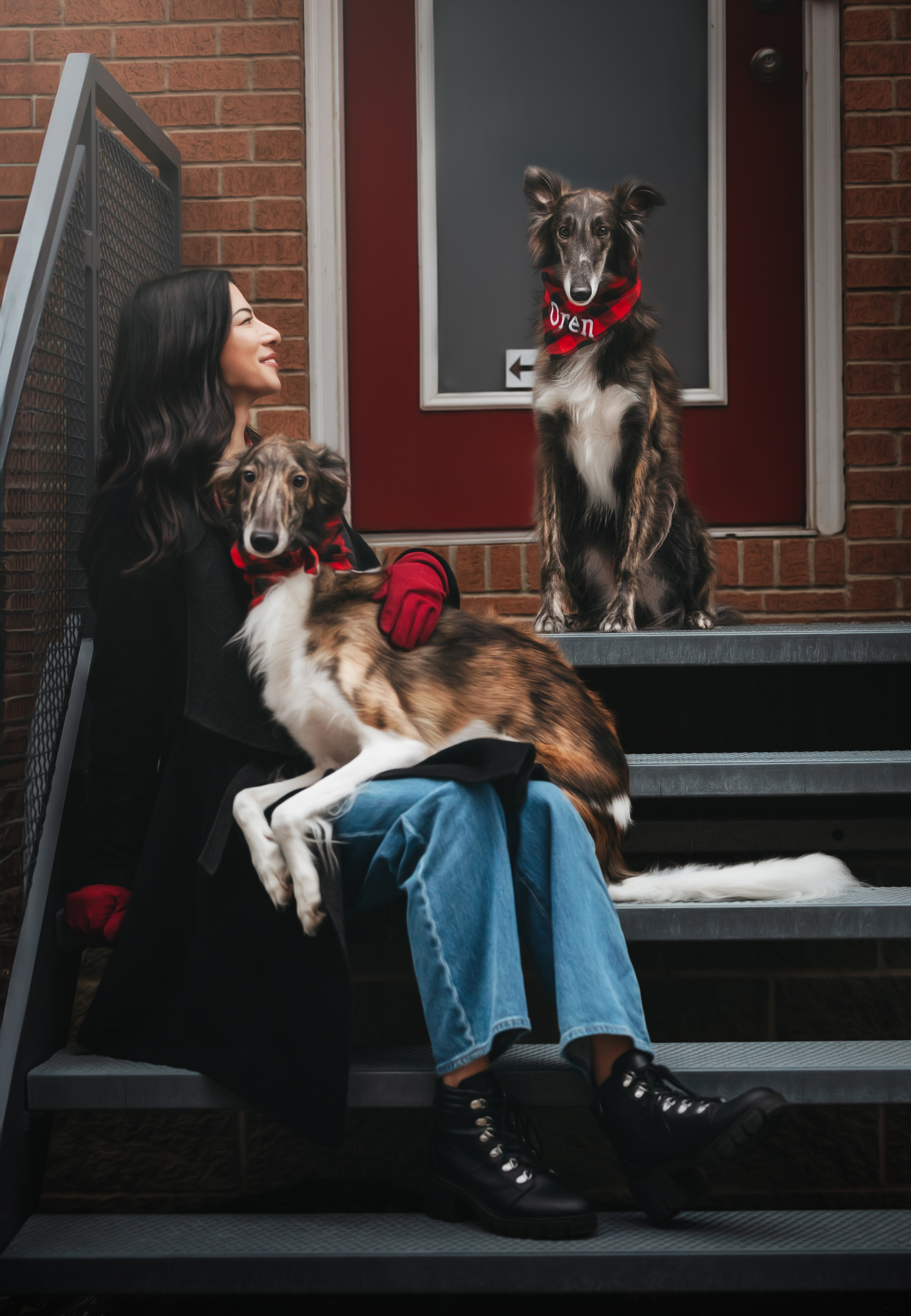 Luca, Oren & Mia. Pet Photographer Viktoriya Aleshenko