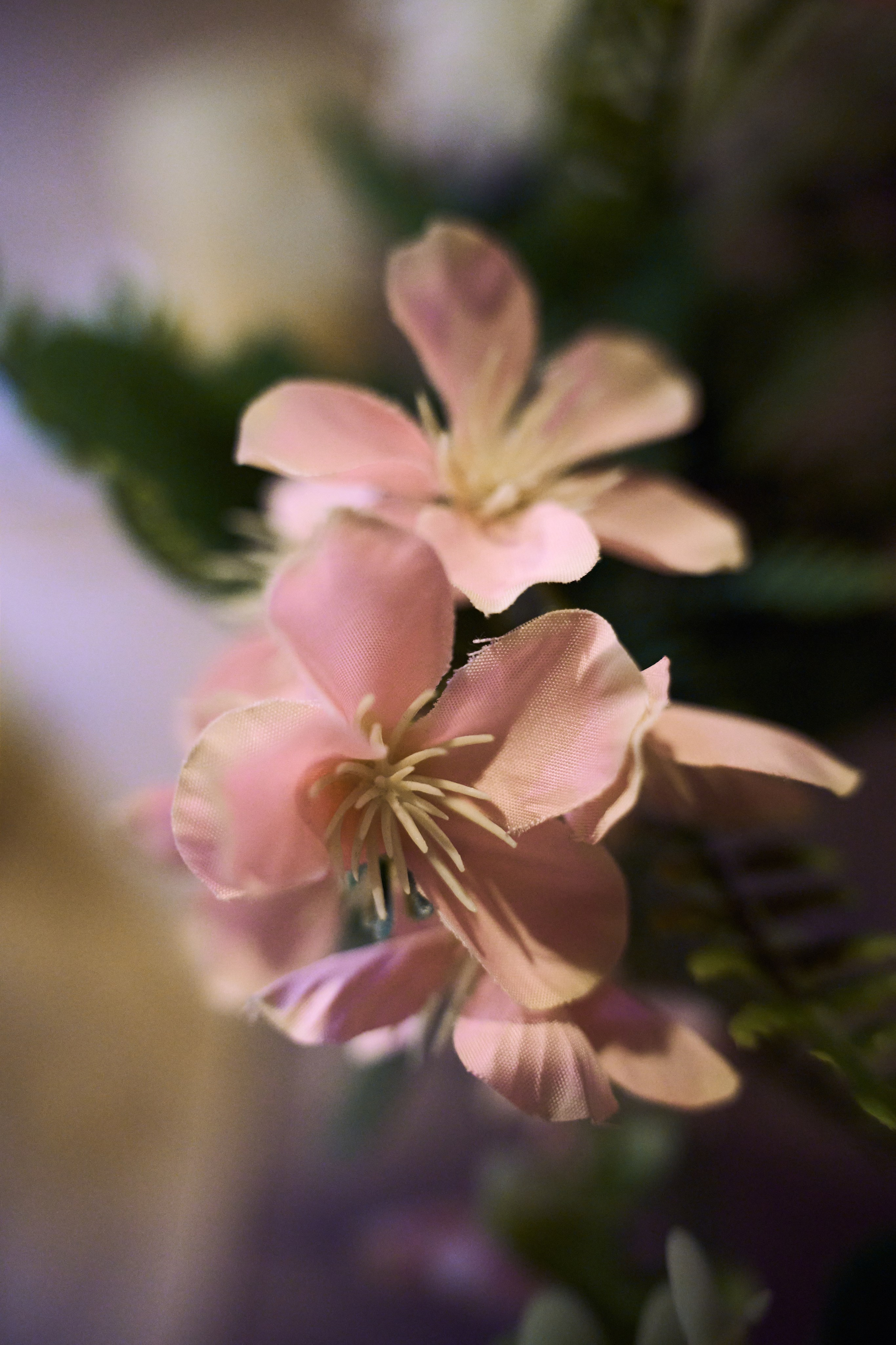 Jelena i Petar. Marko Superio | Wedding & Portrait Photographer