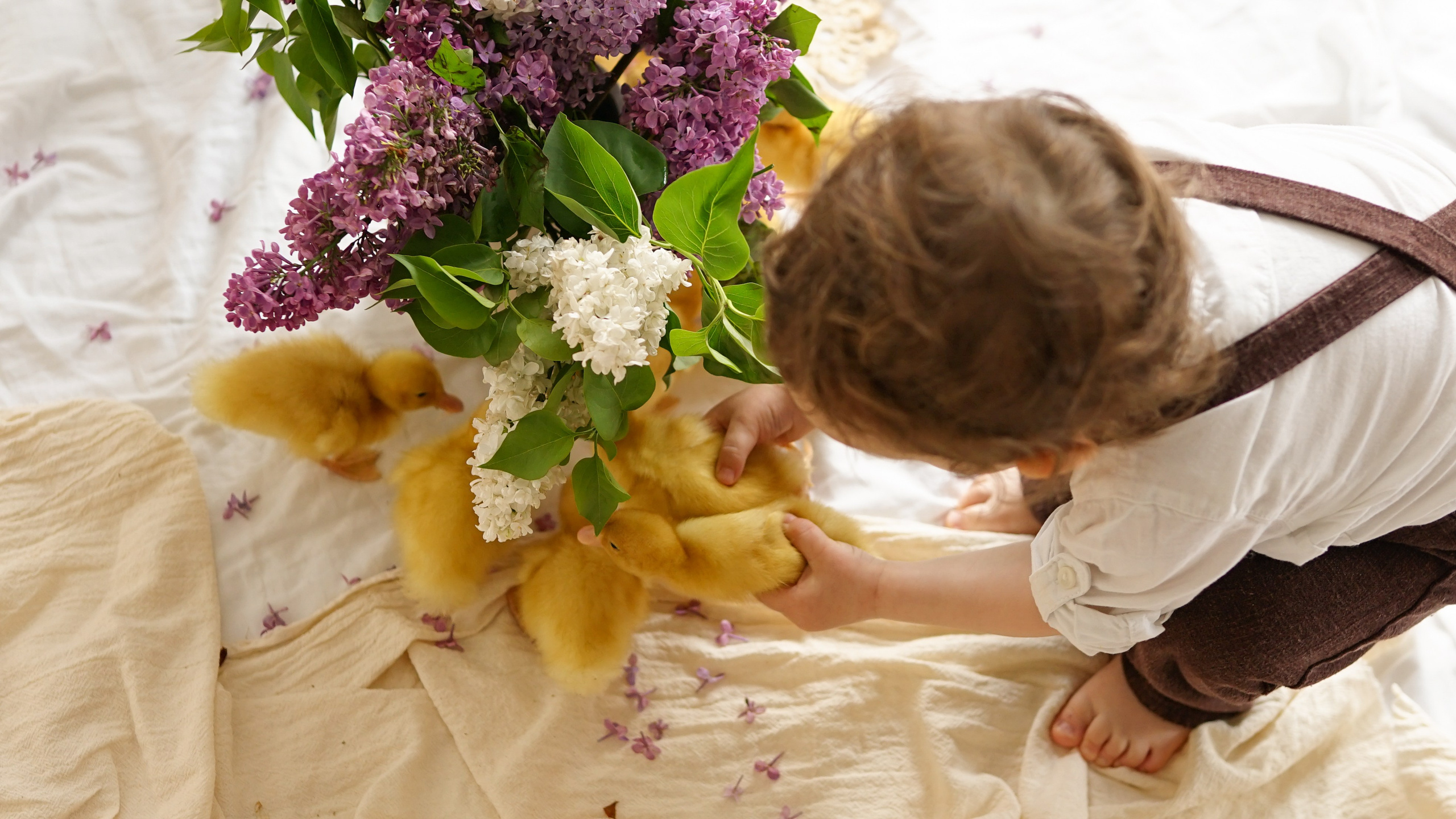 Ședințe Foto de Paște Brașov: Gălbenuș | Mădălina Beda. Madalina Beda- Artist vizual, fotograf, doula la nastere, consultant babywearing Brasov si in toata tara