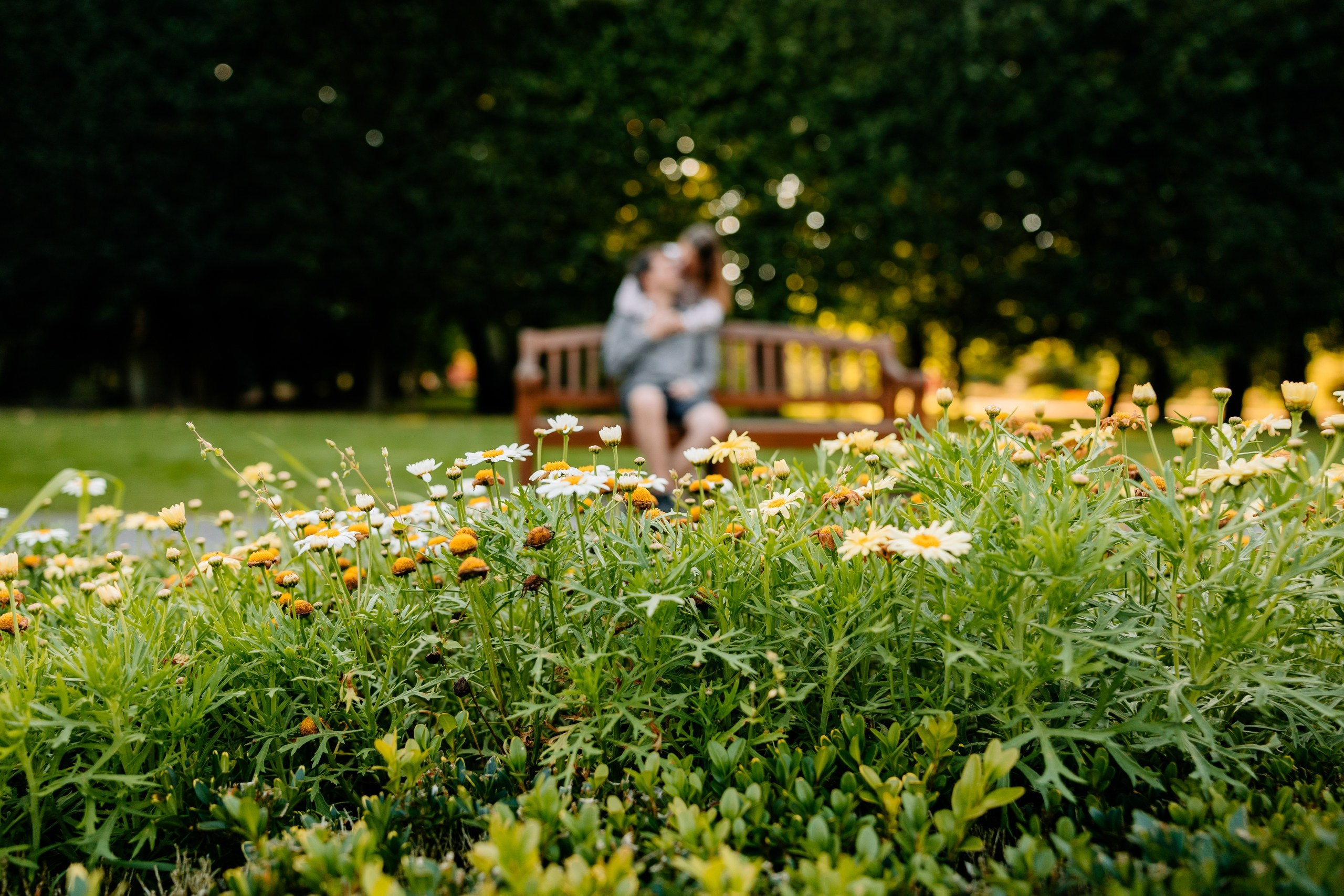 Kamila ♡ Filip. Fotograf Ślubny Warszawa - Sesje Biznesowe Rodzinne Eventy