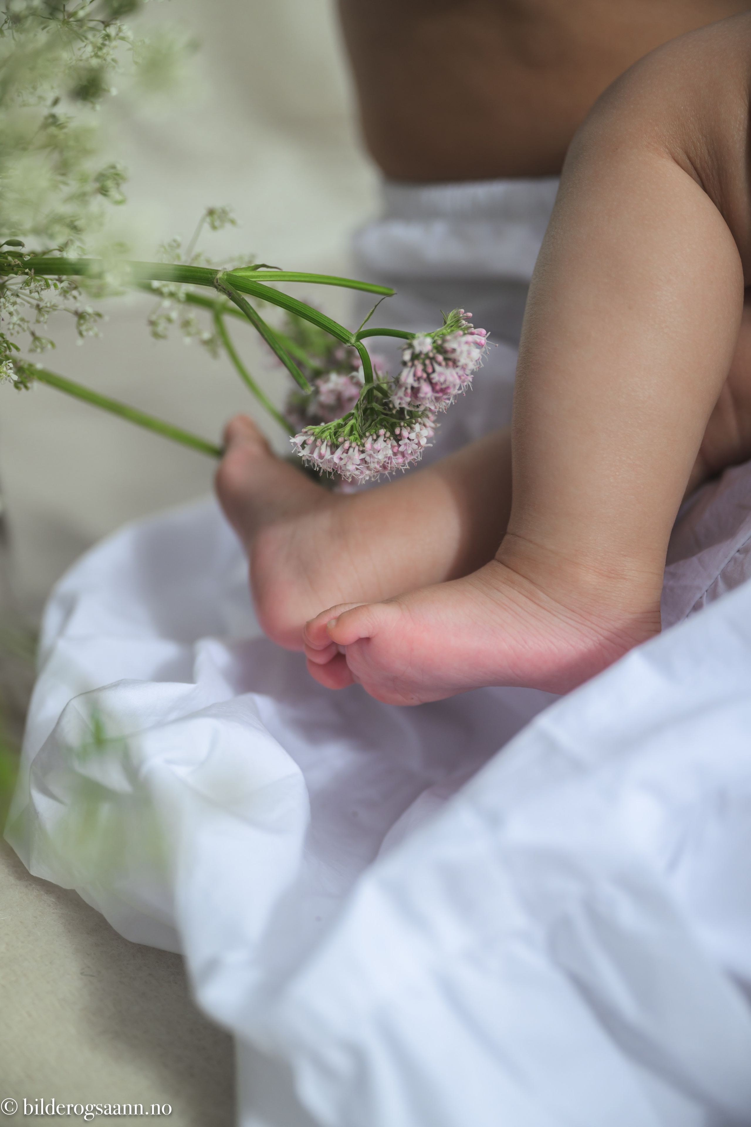 Barn- og familiefotografering. Familiefotograf i Narvik kommune