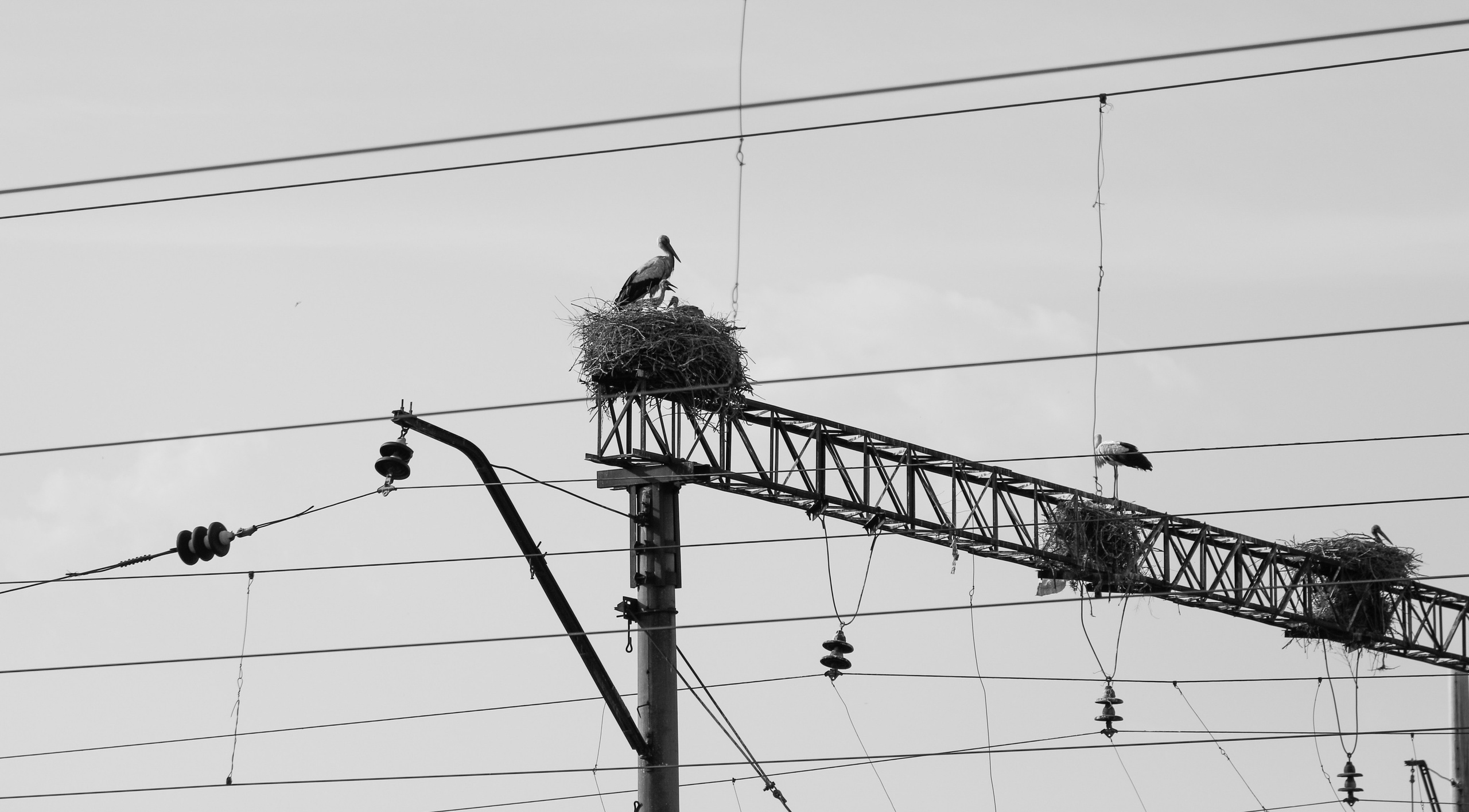 ARMENIE. Photographe Karen Tatevosian