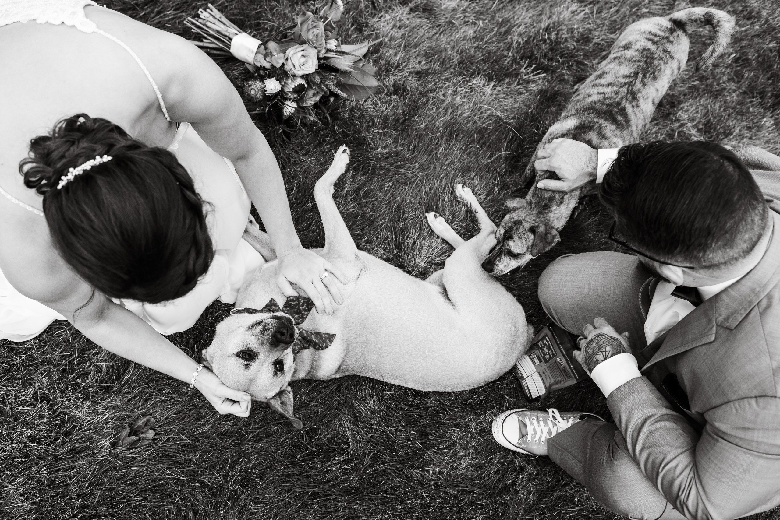 C + A. Wedding photographer in Orlando, Boston & New York Anderson Marques