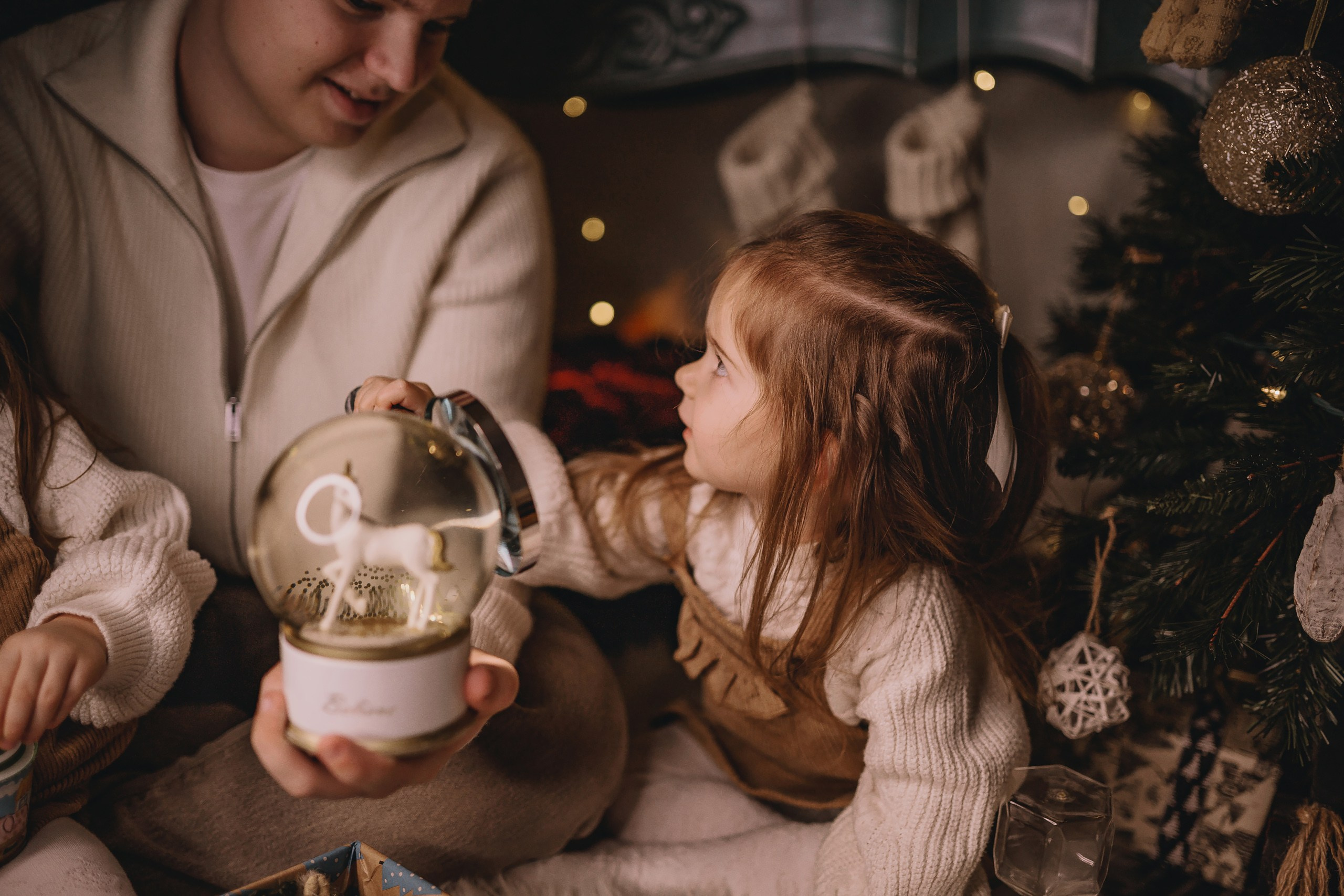 11.26.2025 Christmas Photoshoot. Wedding family event photographer in Chicago Nick Yushevich