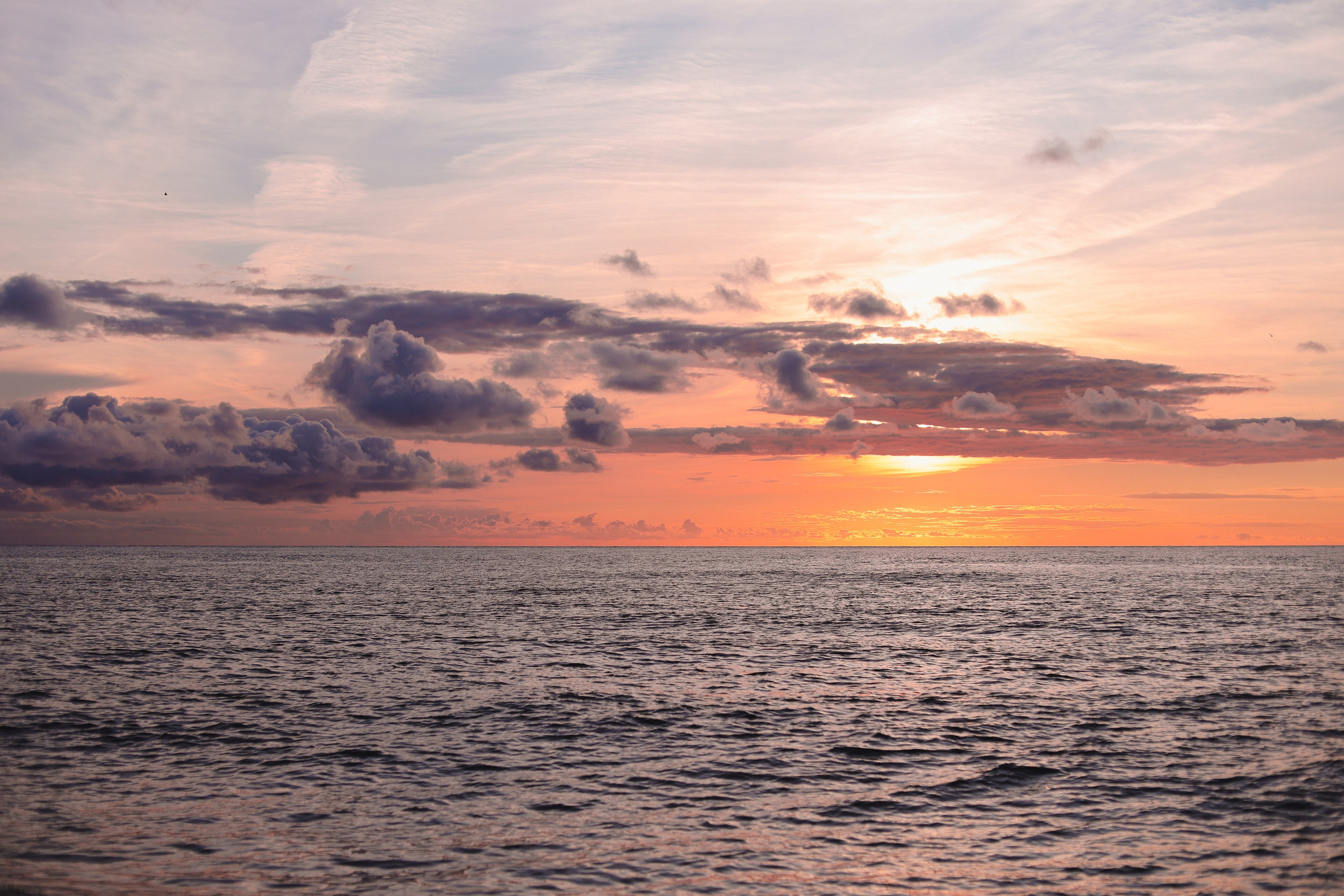 Wedding. Свадебный, семейный и детский фотограф в Беларуси и за ее пределами