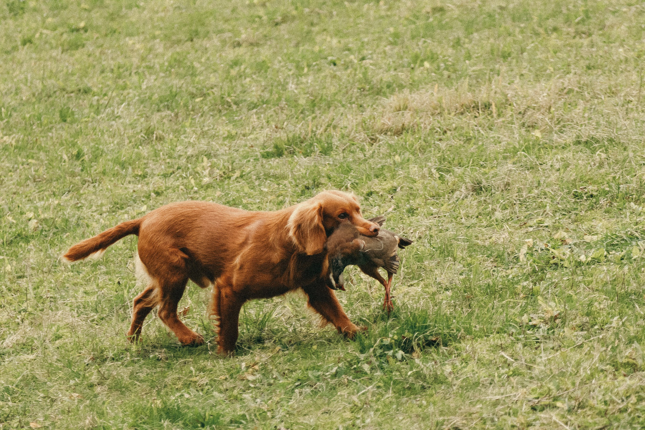 Salperton | Family Photographer in London and Kent