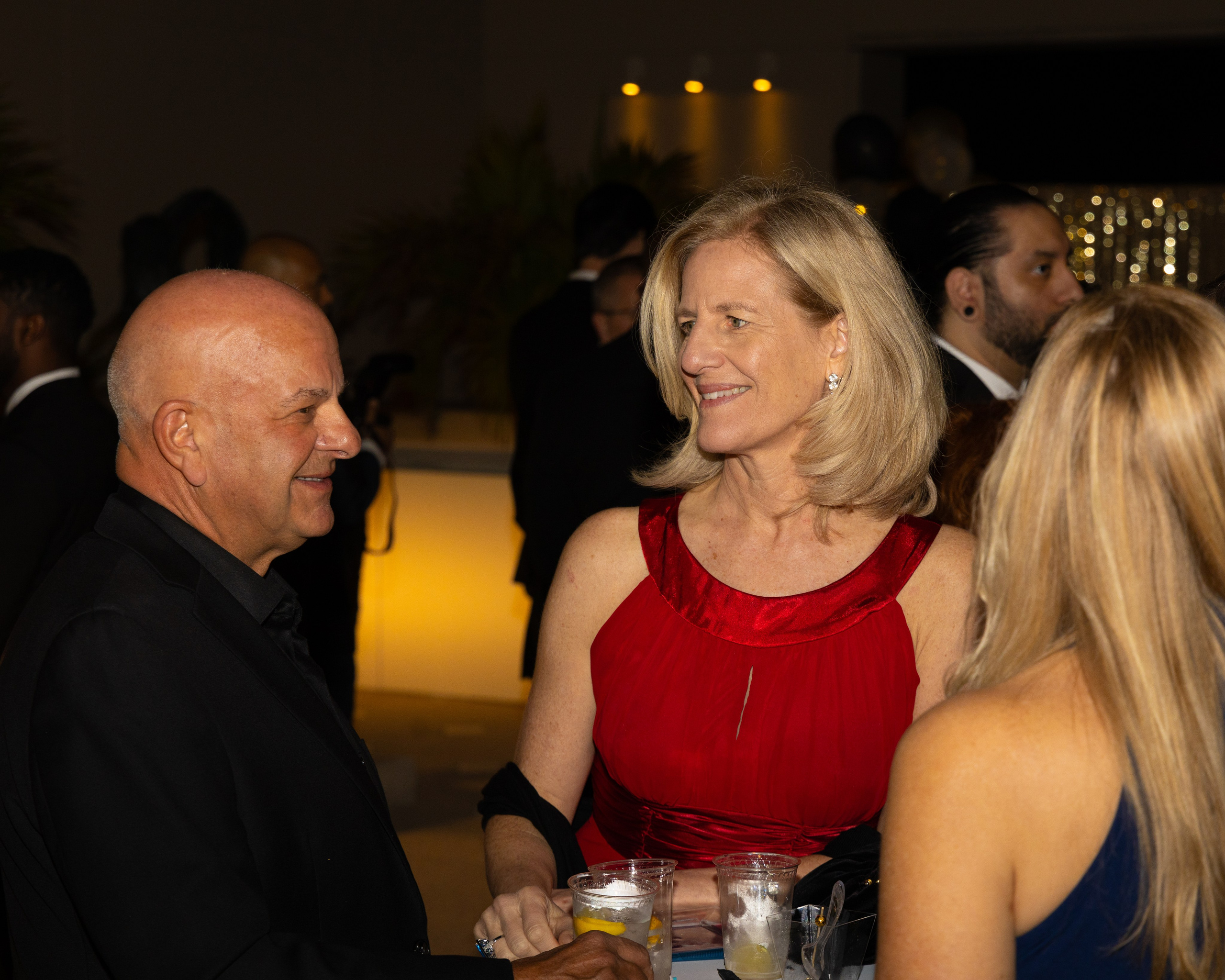 AIA American Architect Association Awards Gala. Out and About 239