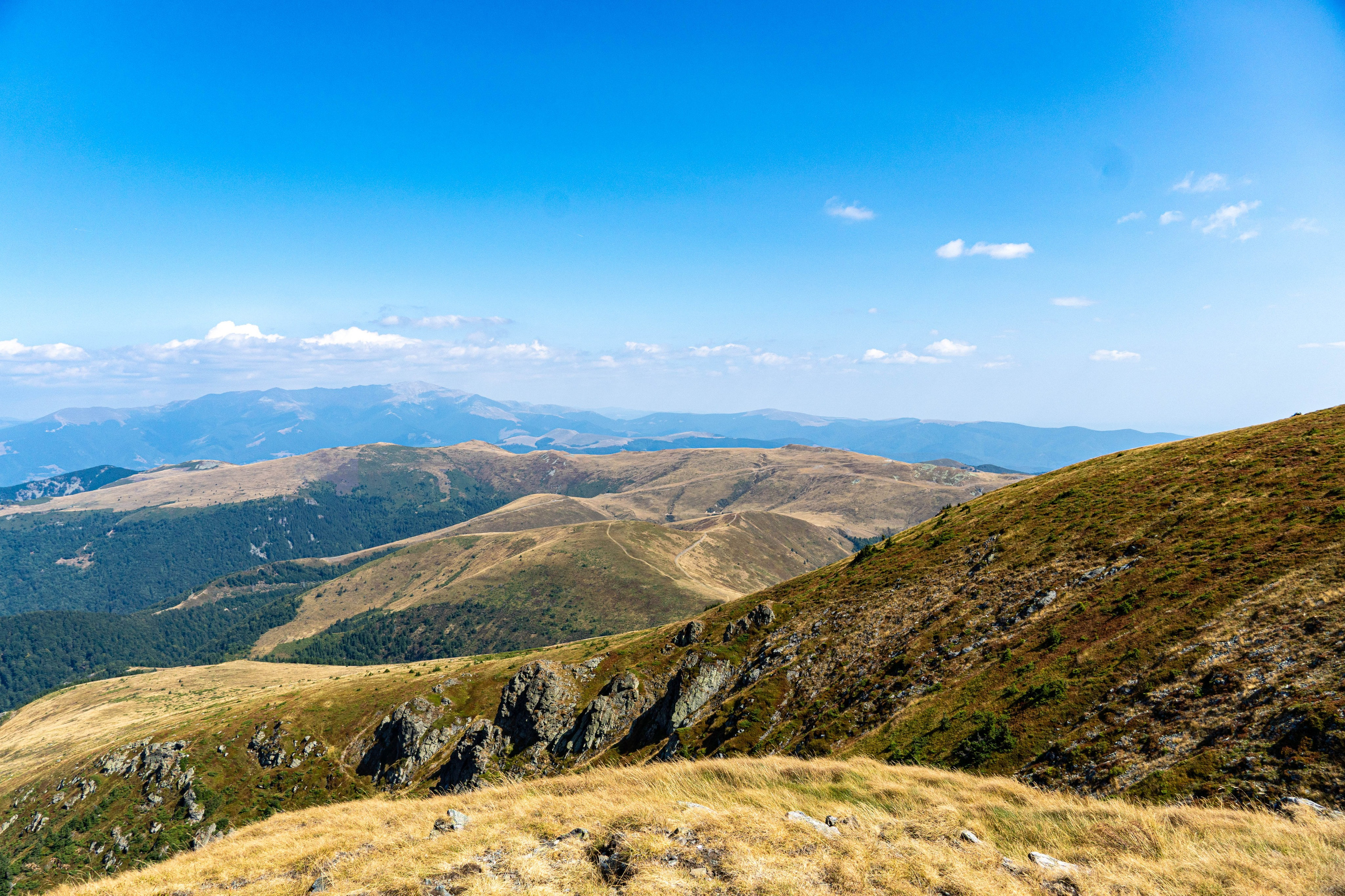 Nature. Alecsandru Braicu — Sports Photographer