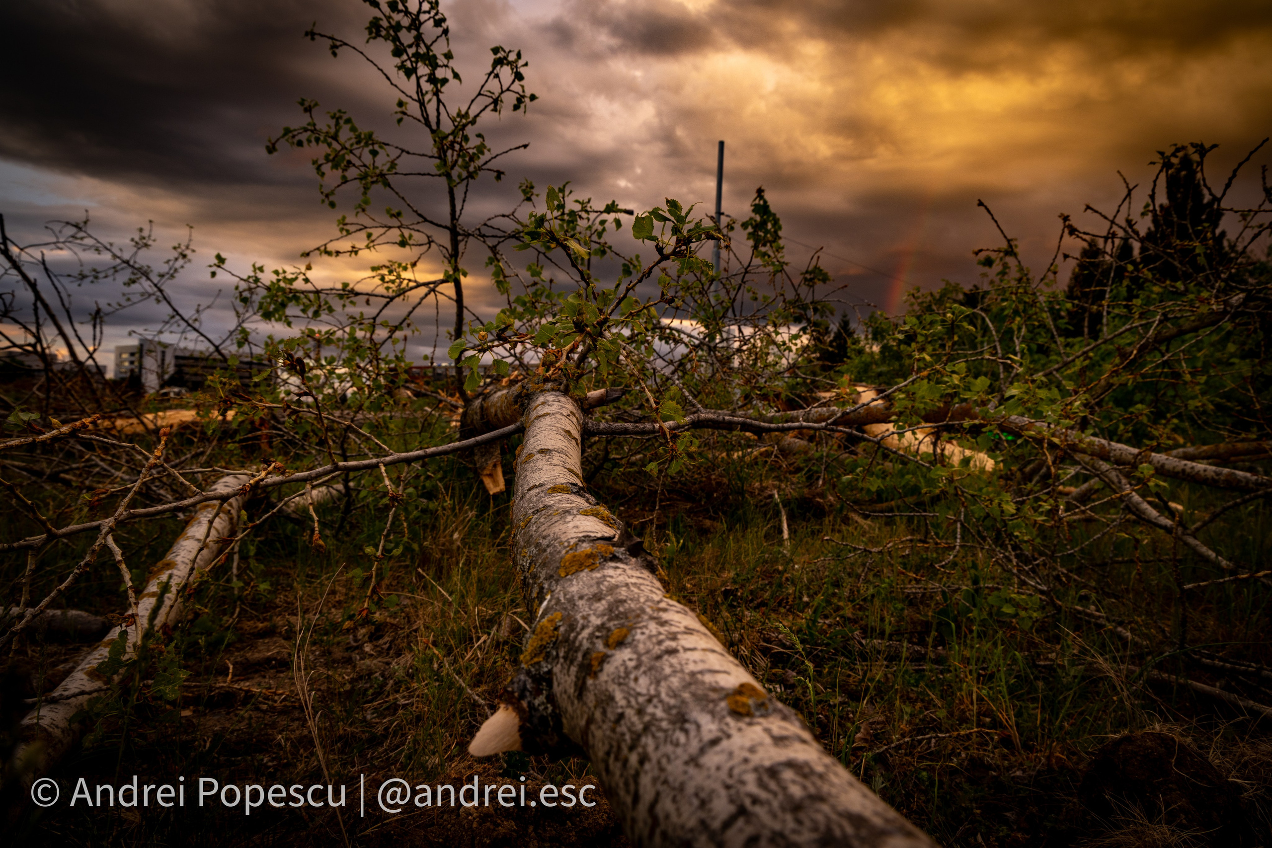 Scenery. Andrei Popescu Photography
