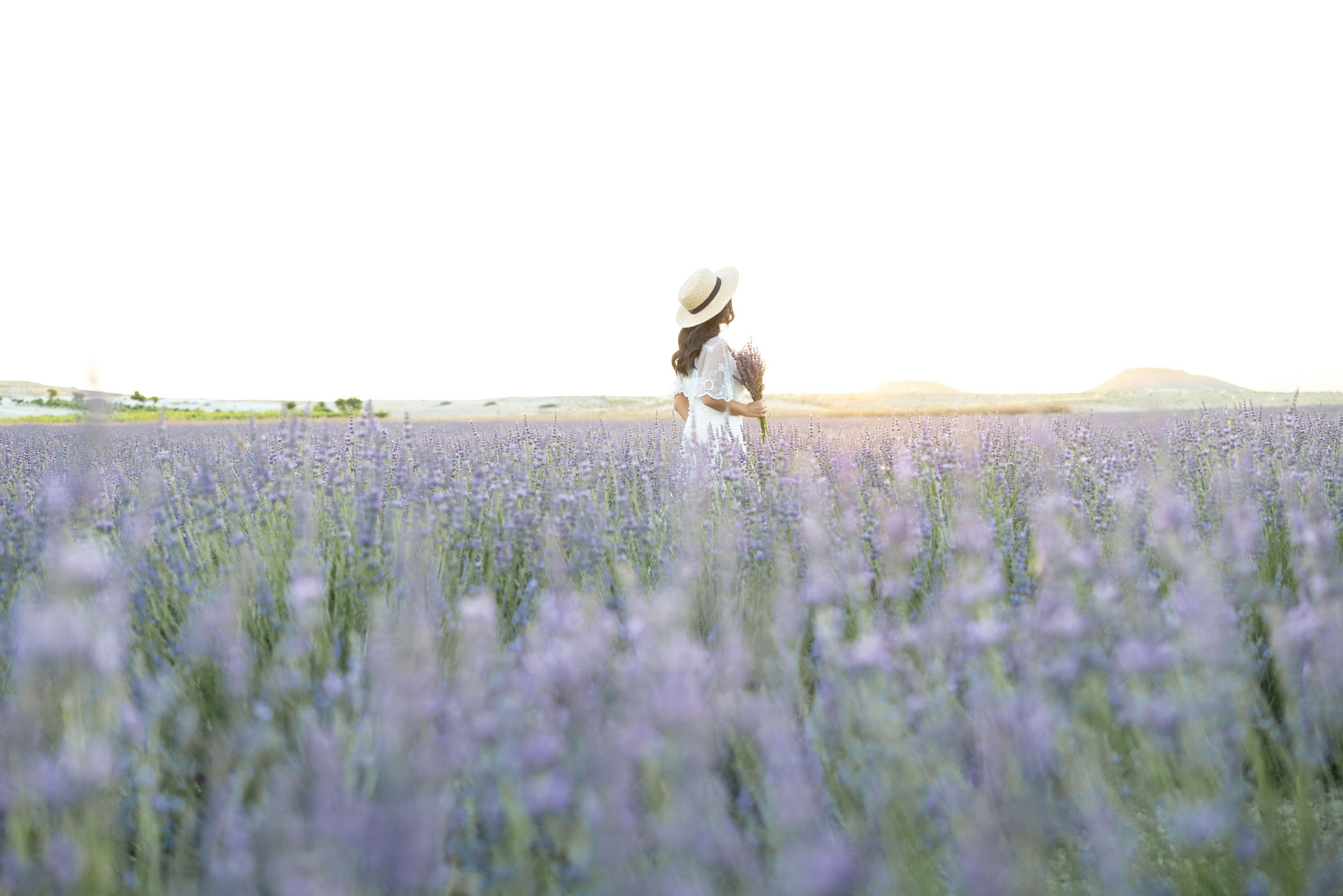 Dreamy Photoshoot in a Lavender Field. Julia Ganch I Fashion Wedding Photography I Cappadocia Turkey