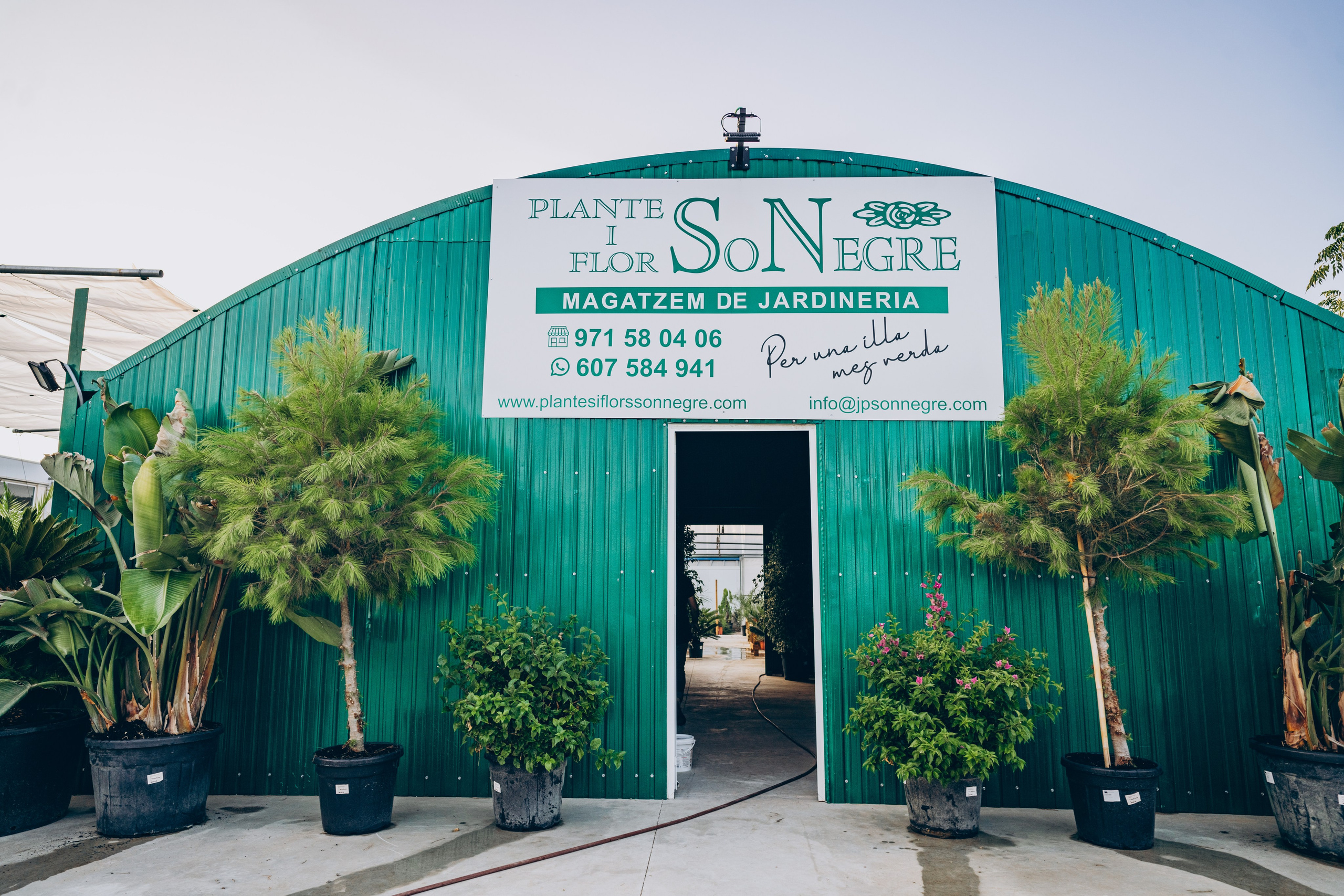 Centro Jardin. Photographer in Mallorca