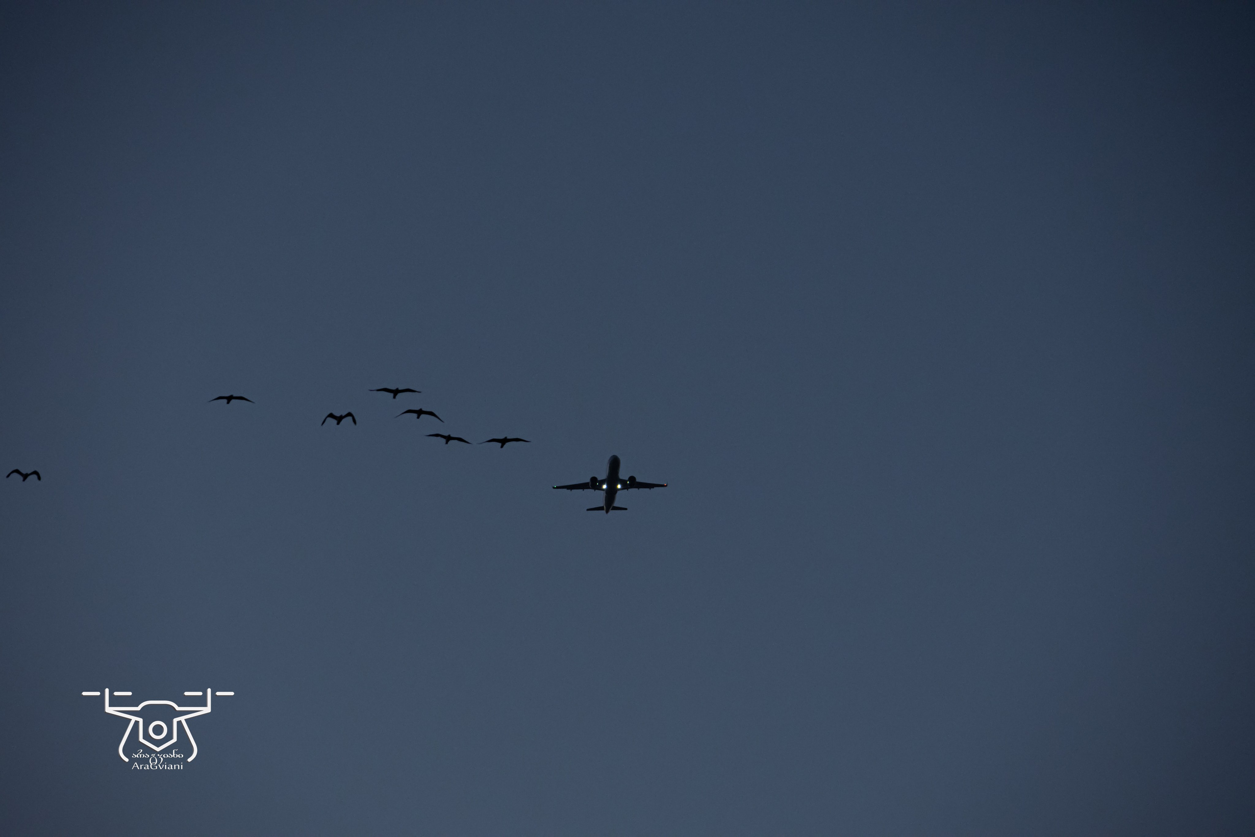 ბუნება. FramefreeMan