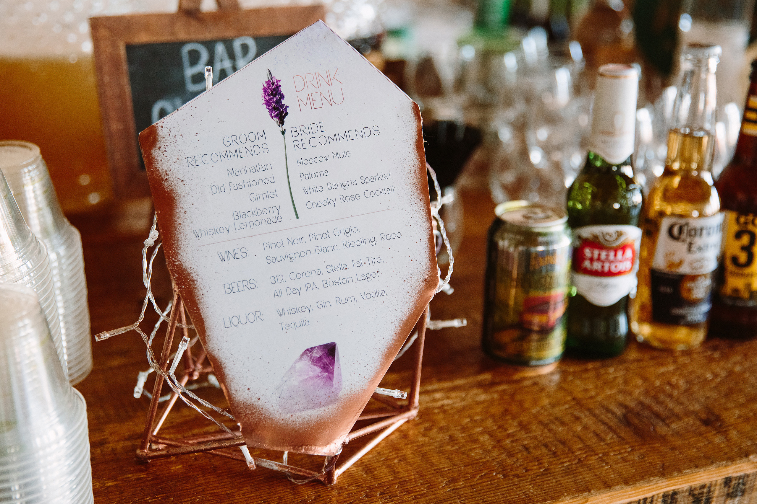 Wedding. Wedding family event photographer in Chicago Nick Yushevich