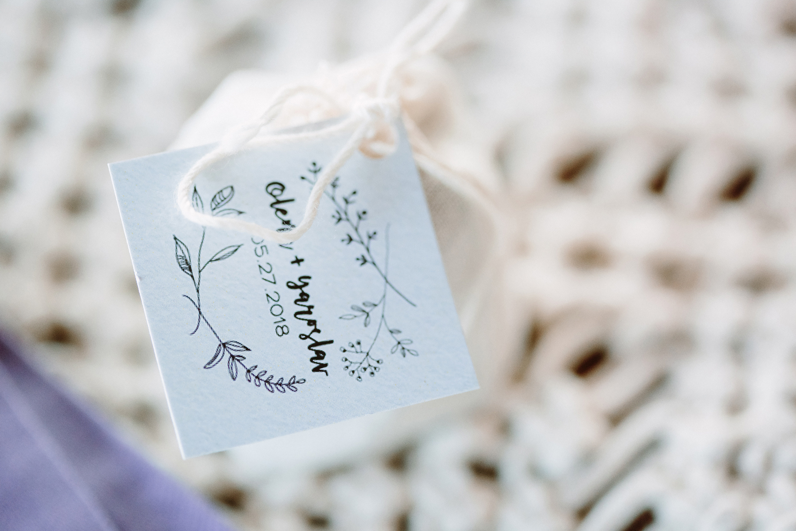 Wedding. Wedding family event photographer in Chicago Nick Yushevich