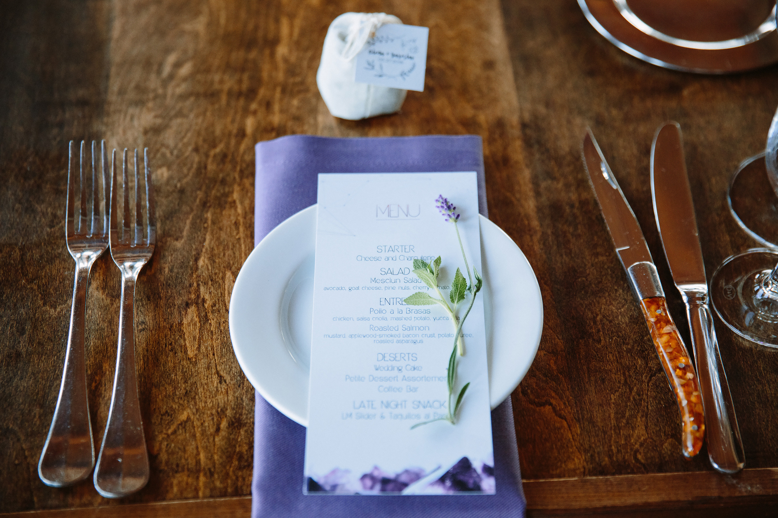 Wedding. Wedding family event photographer in Chicago Nick Yushevich