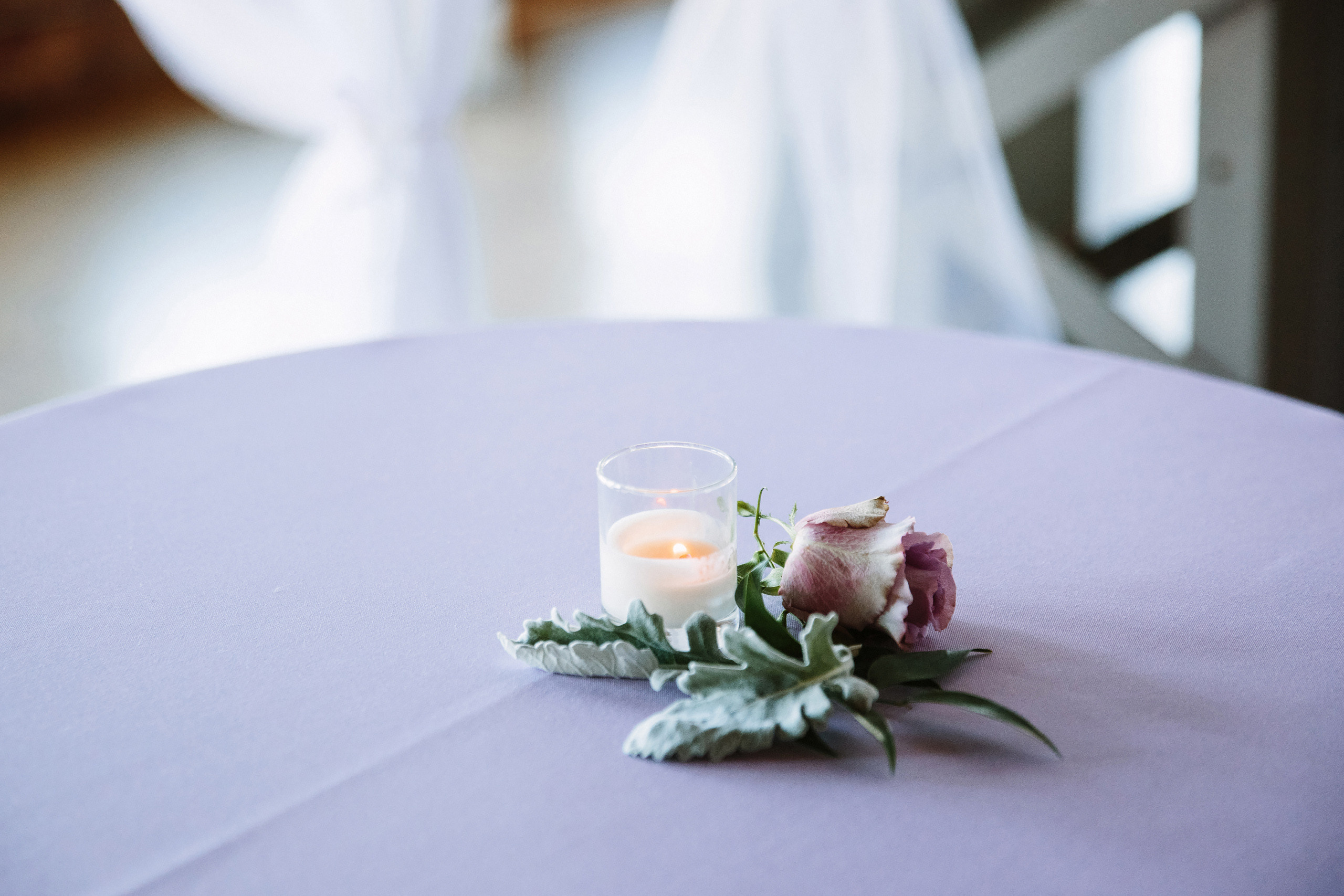 Wedding. Wedding family event photographer in Chicago Nick Yushevich