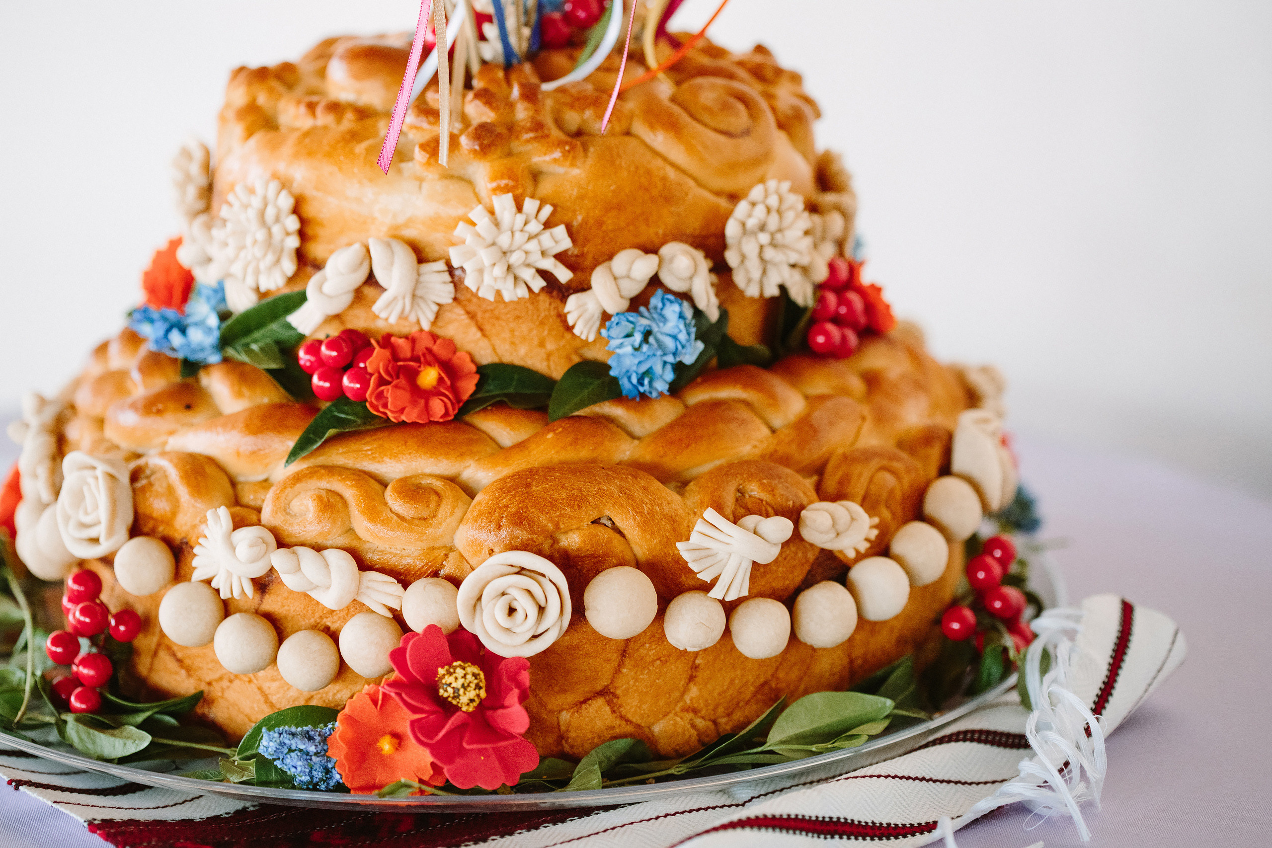 Wedding. Wedding family event photographer in Chicago Nick Yushevich