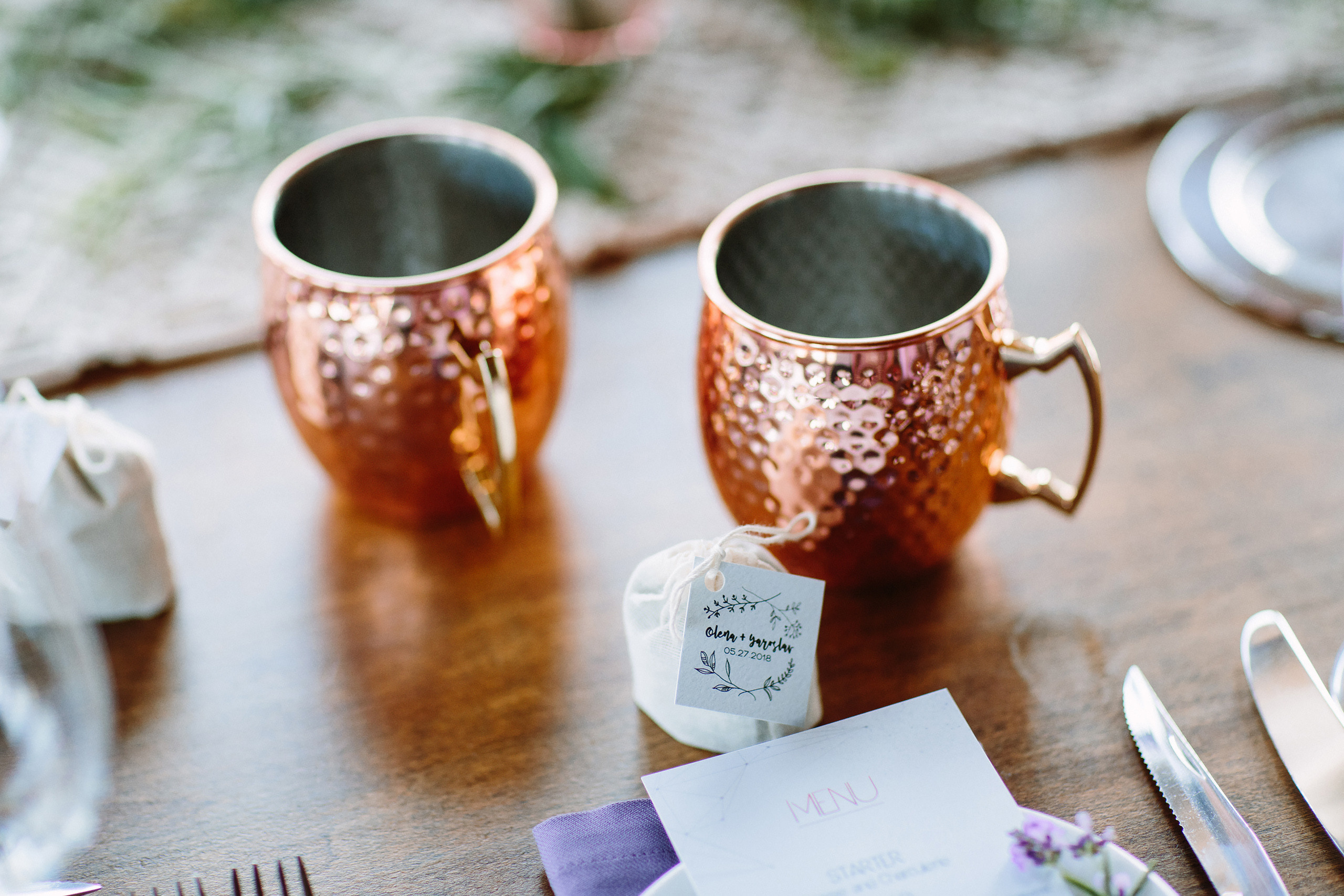 Wedding. Wedding family event photographer in Chicago Nick Yushevich