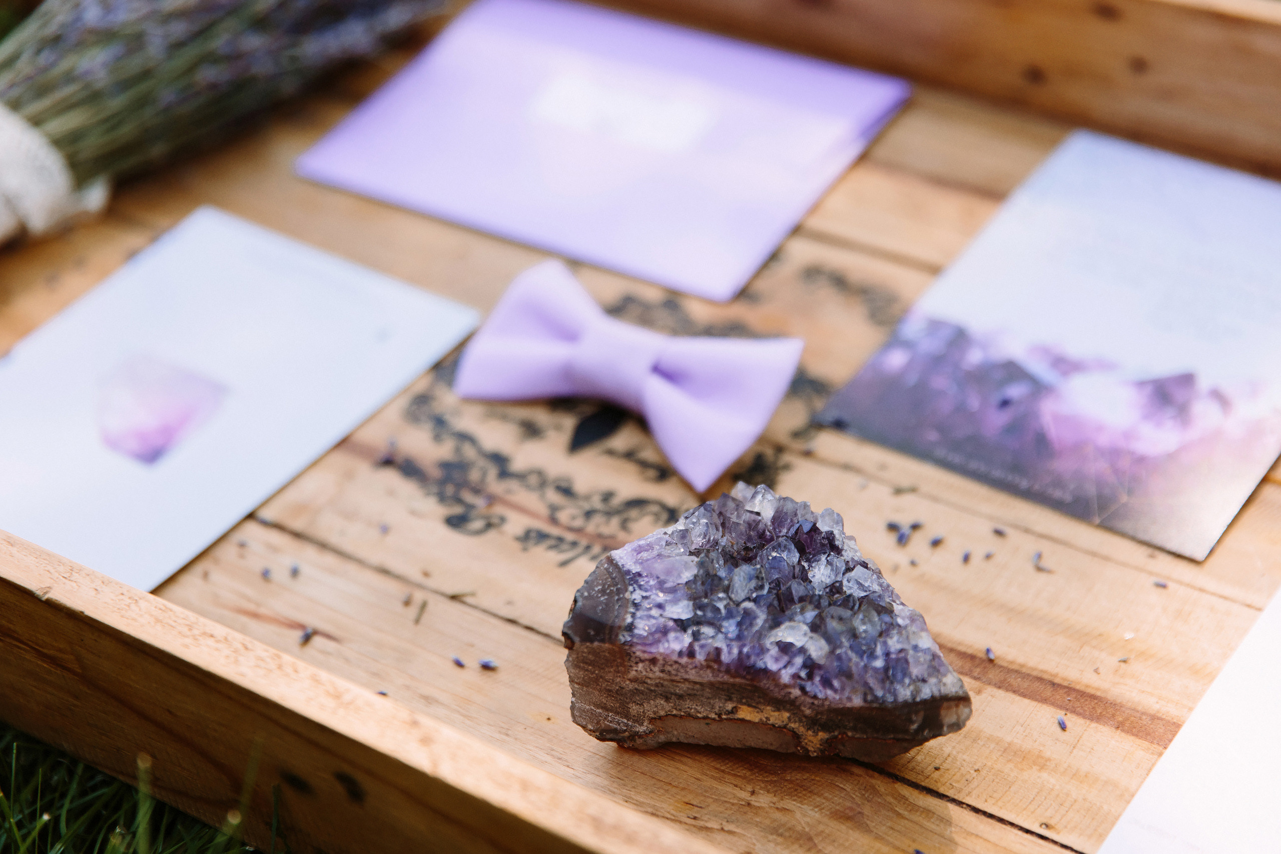 Wedding. Wedding family event photographer in Chicago Nick Yushevich