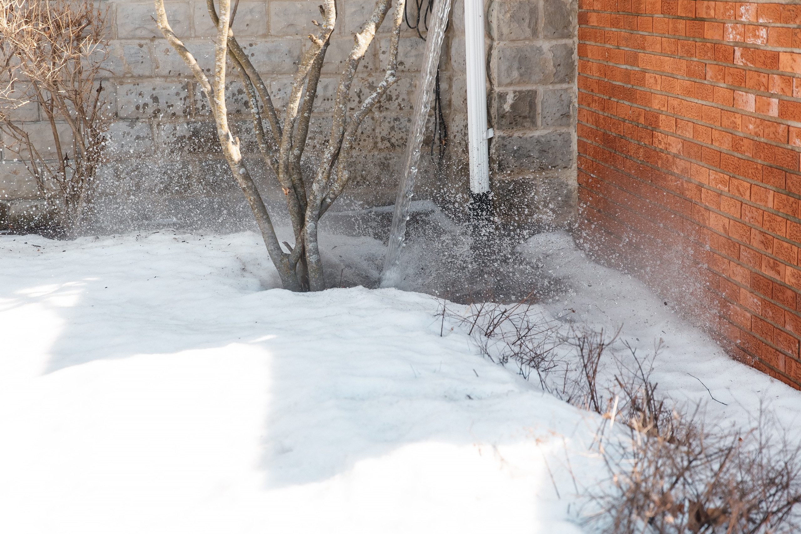 02.27.2021 Christening. Wedding family event photographer in Chicago Nick Yushevich