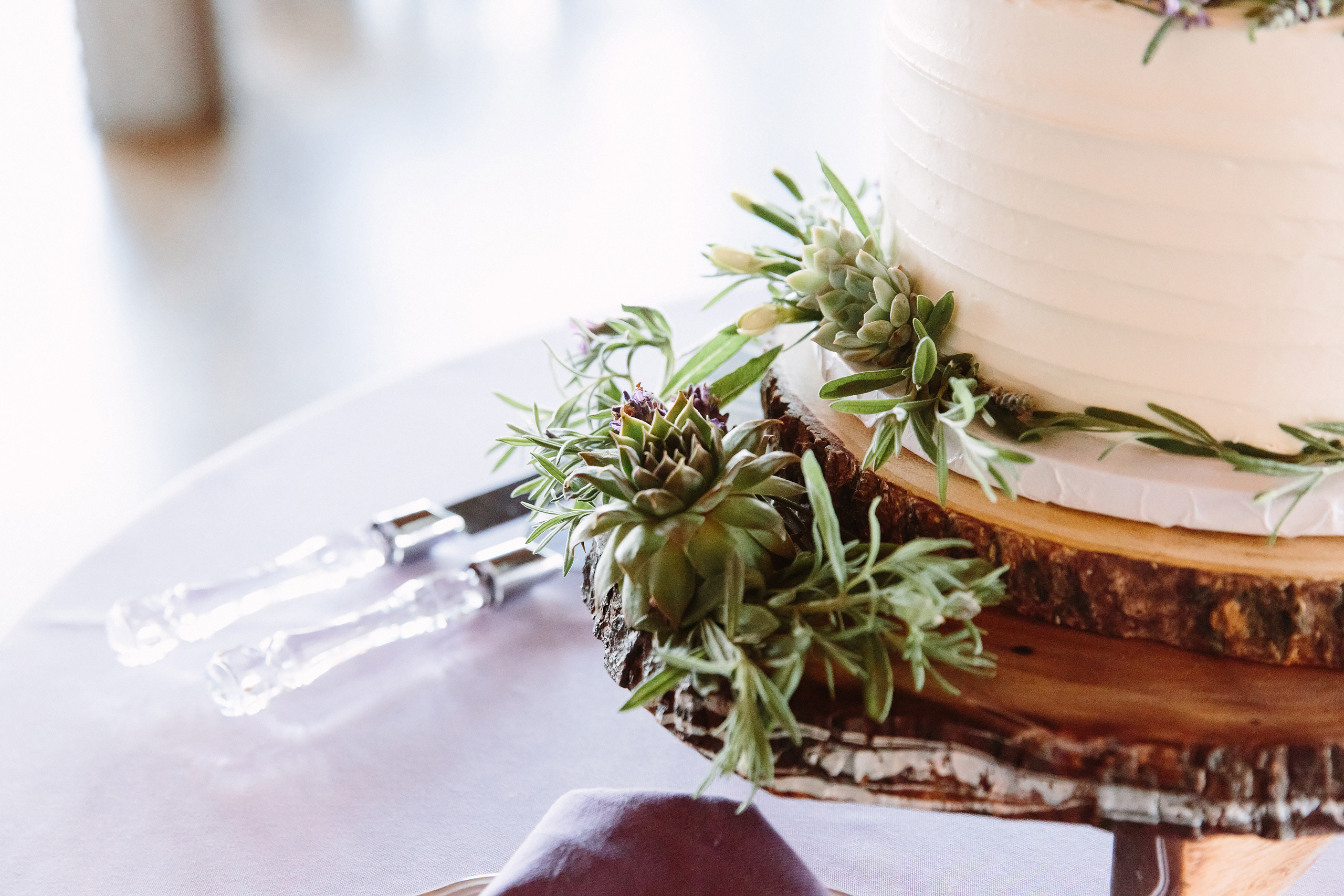 Wedding. Wedding family event photographer in Chicago Nick Yushevich