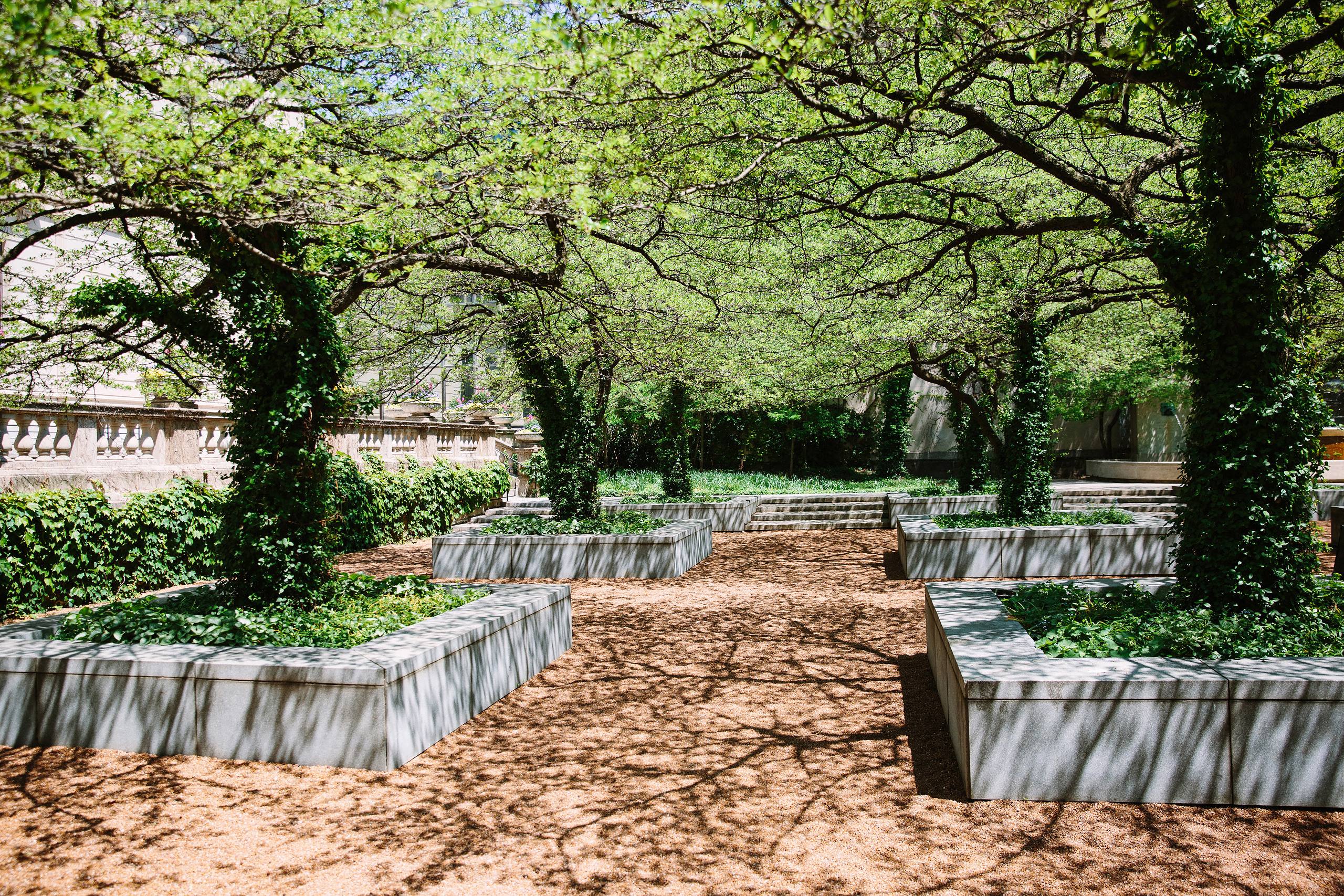 Wedding. Wedding family event photographer in Chicago Nick Yushevich