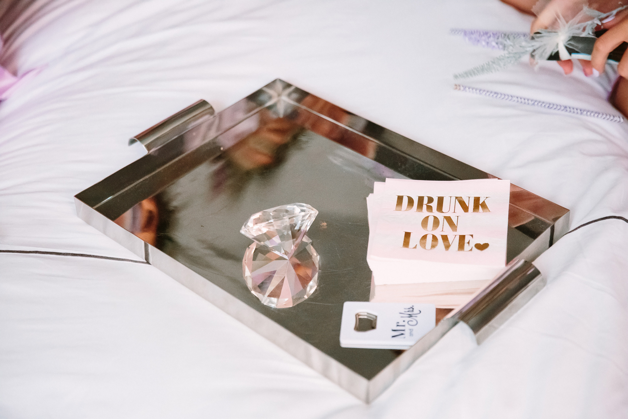 Wedding. Wedding family event photographer in Chicago Nick Yushevich