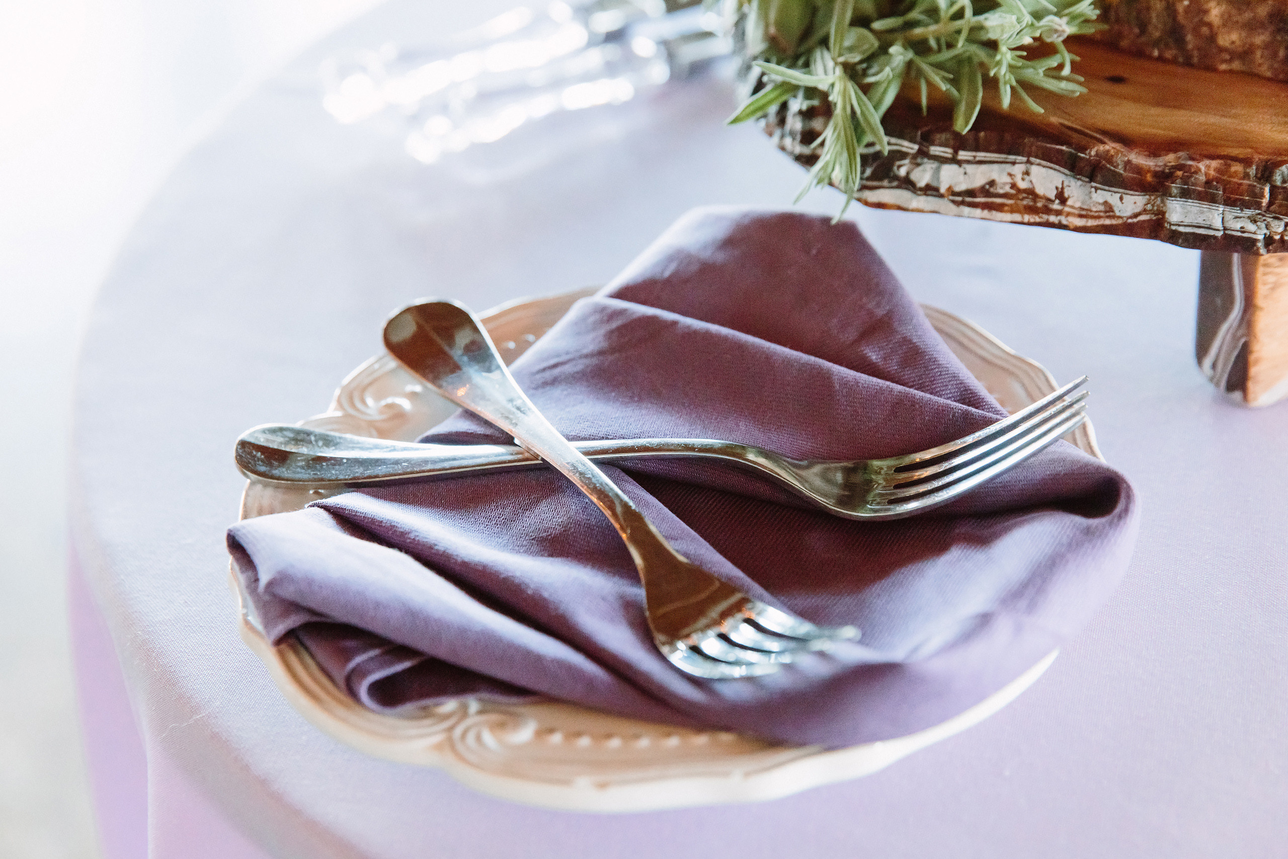 Wedding. Wedding family event photographer in Chicago Nick Yushevich