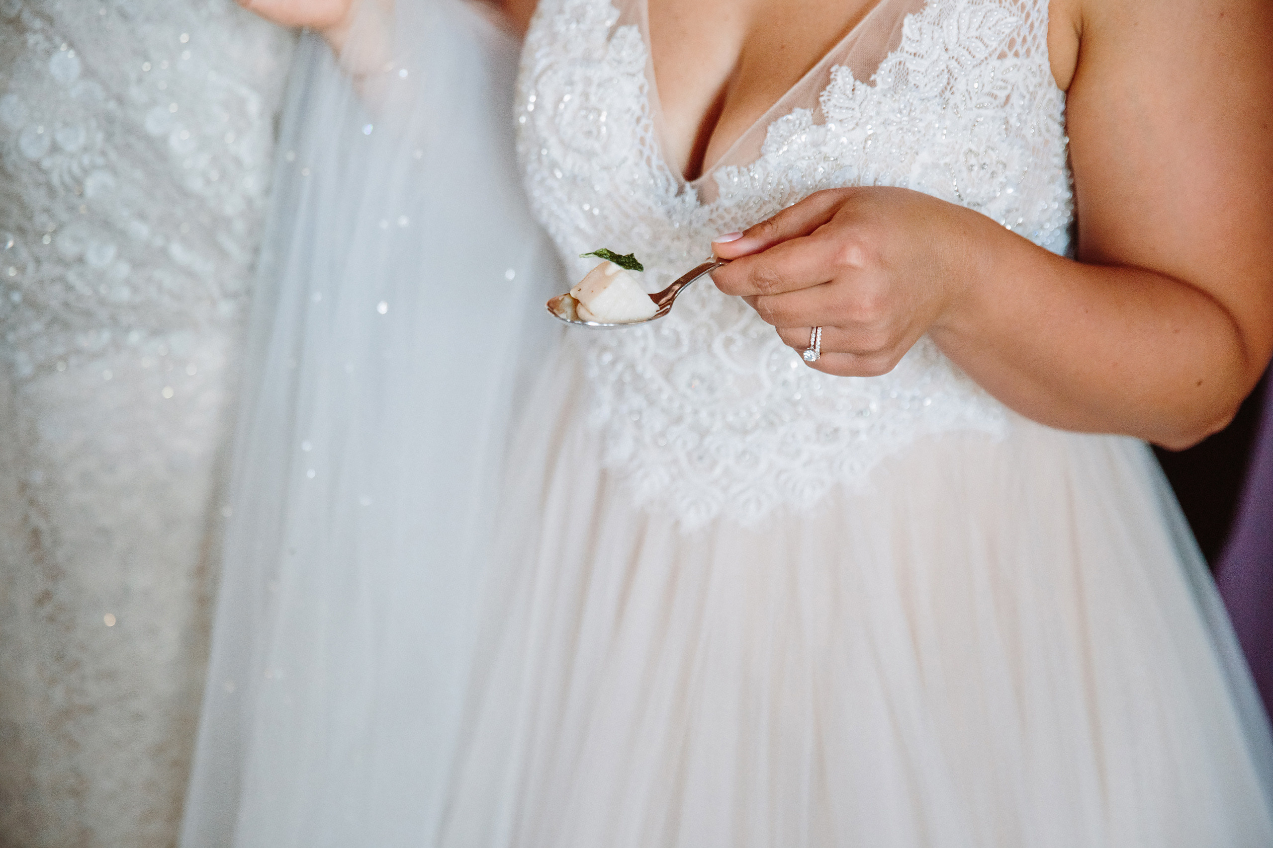 Wedding. Wedding family event photographer in Chicago Nick Yushevich