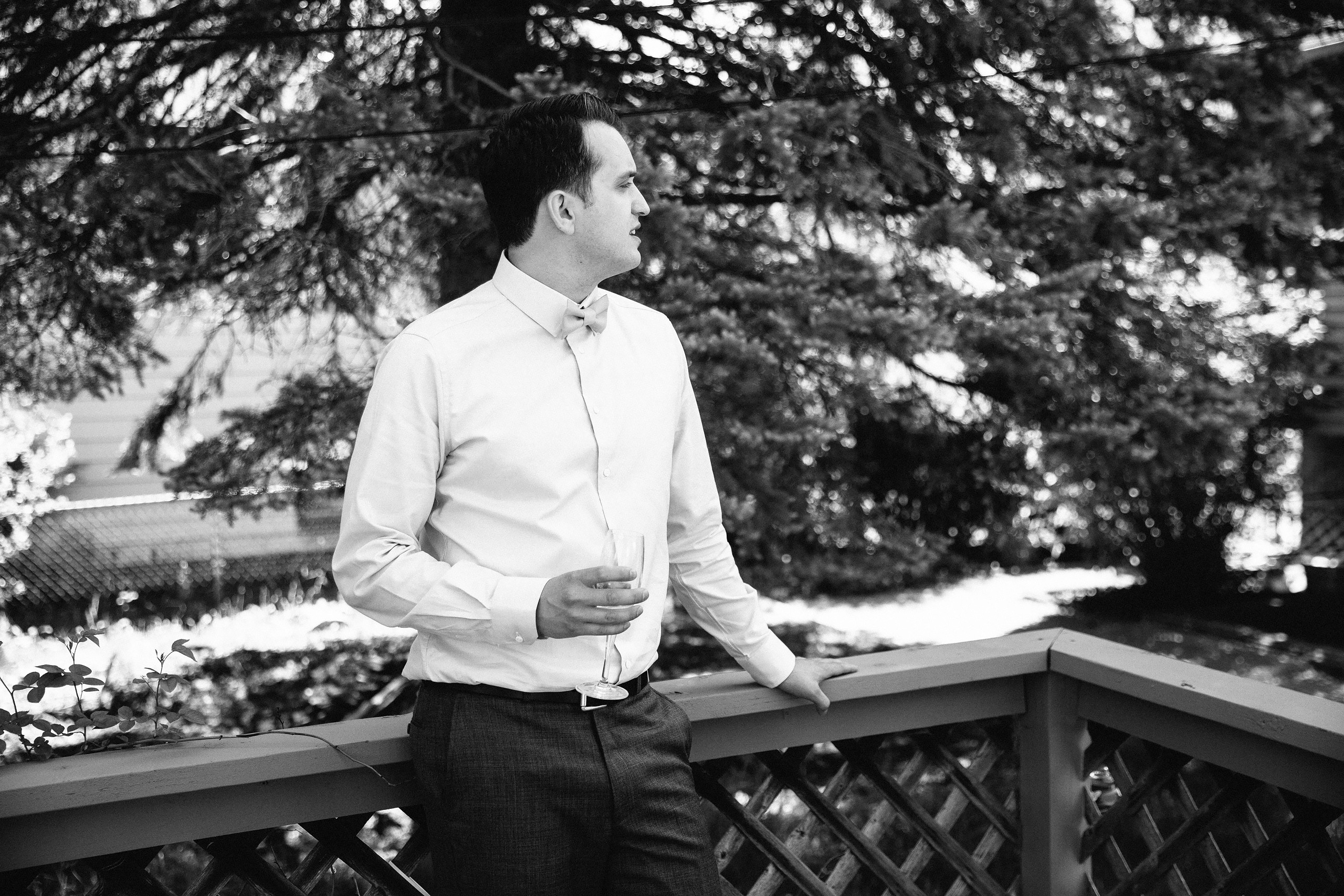 Wedding. Wedding family event photographer in Chicago Nick Yushevich