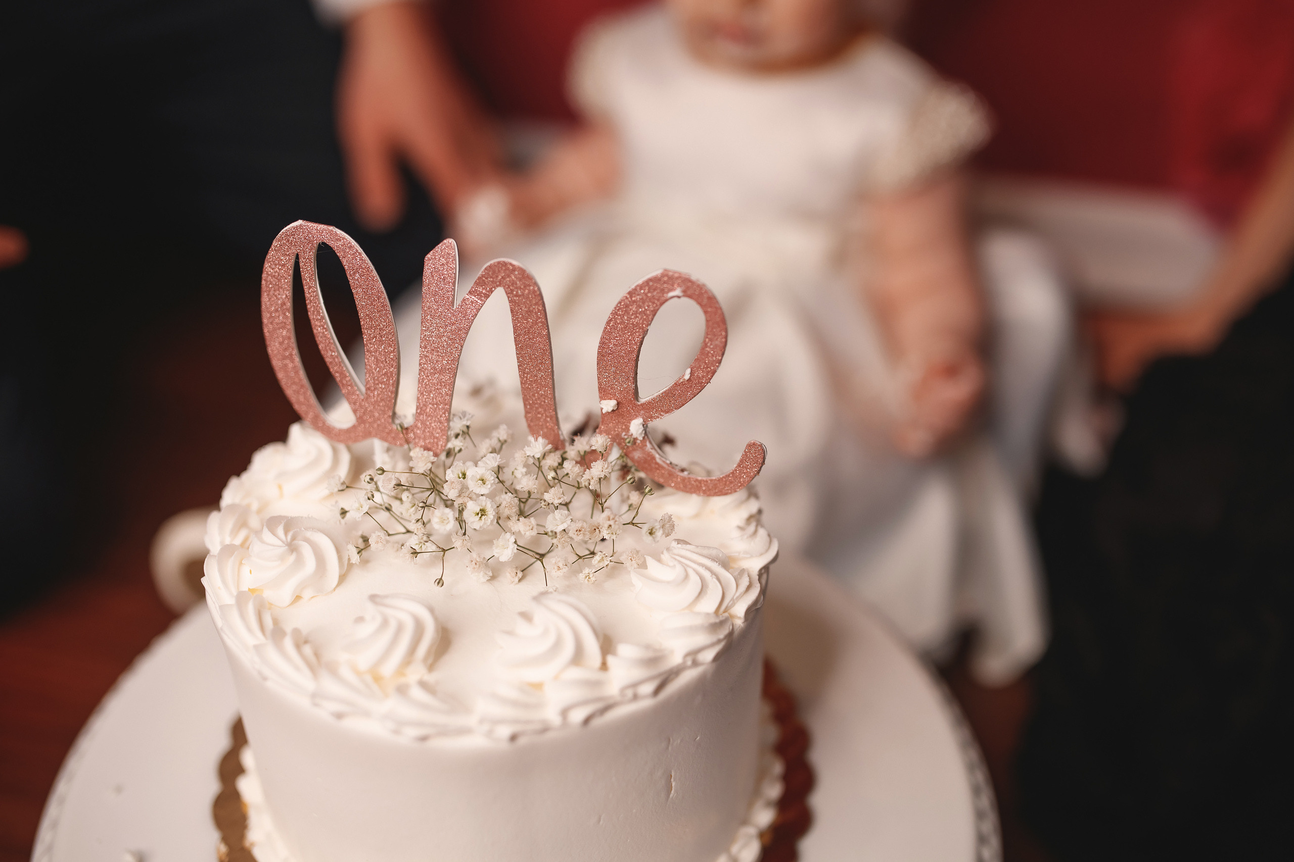 01.17.2021 First birthday. Wedding family event photographer in Chicago Nick Yushevich