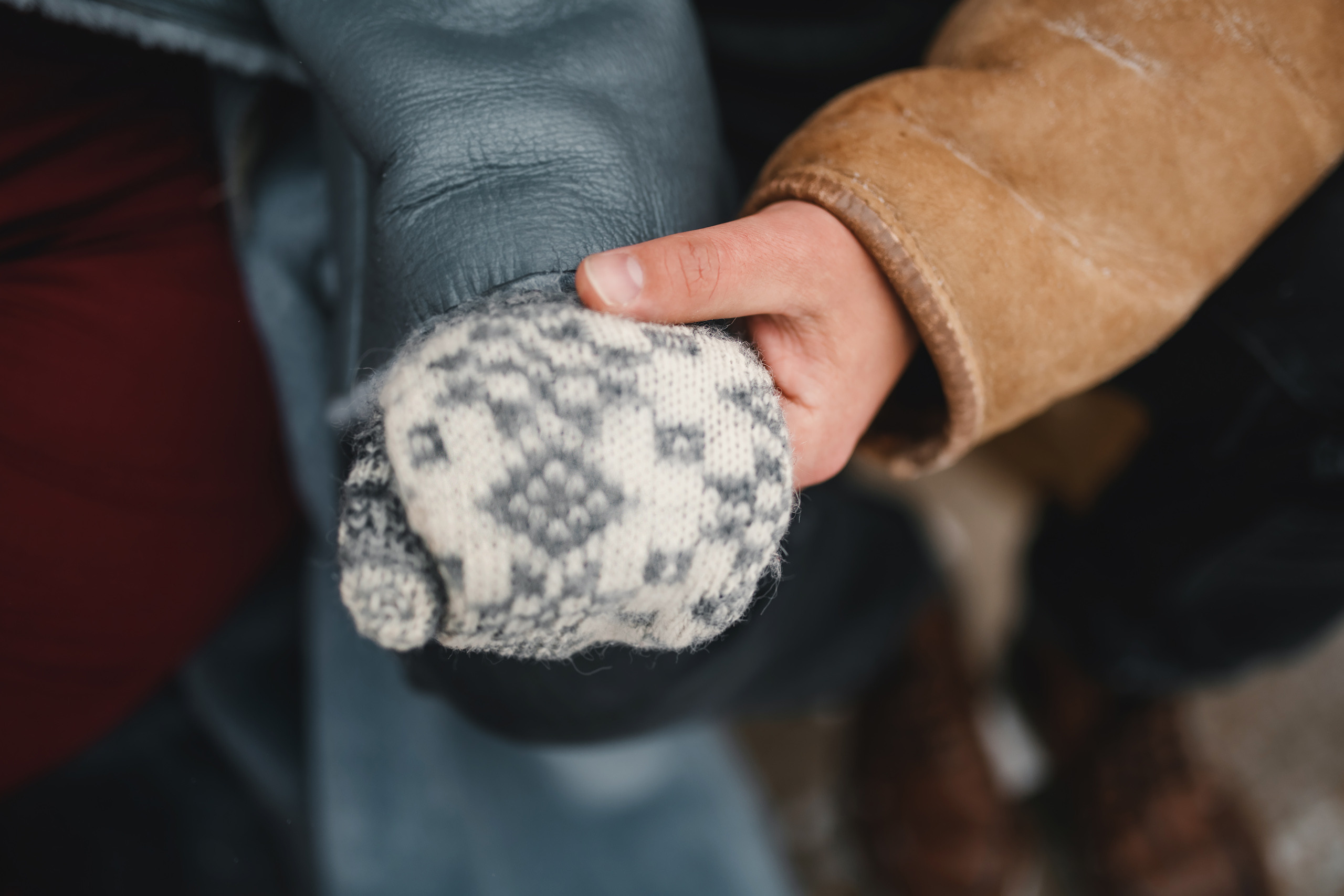 02.06.2021 Maternity Photoshoot. Wedding family event photographer in Chicago Nick Yushevich