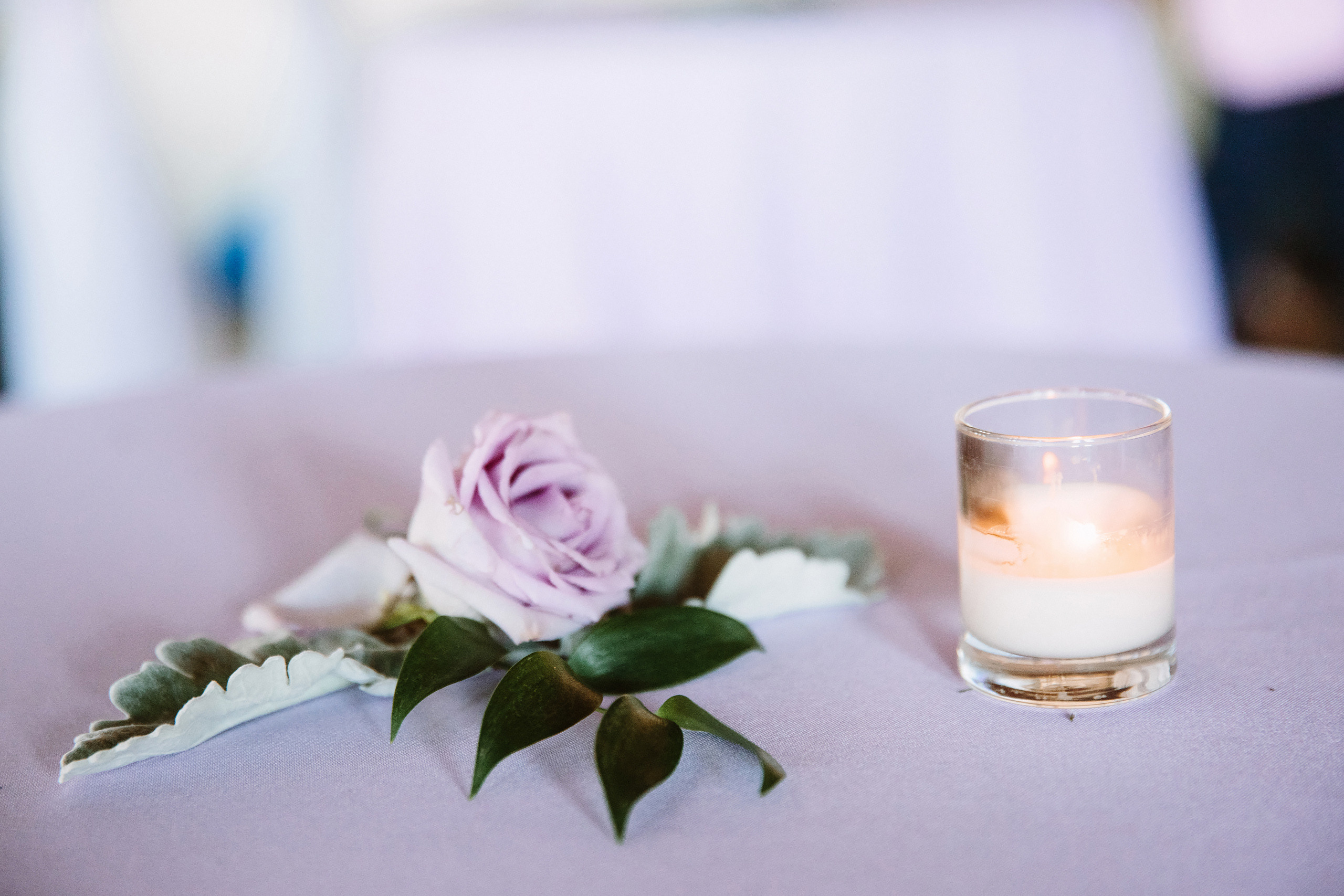 Wedding. Wedding family event photographer in Chicago Nick Yushevich