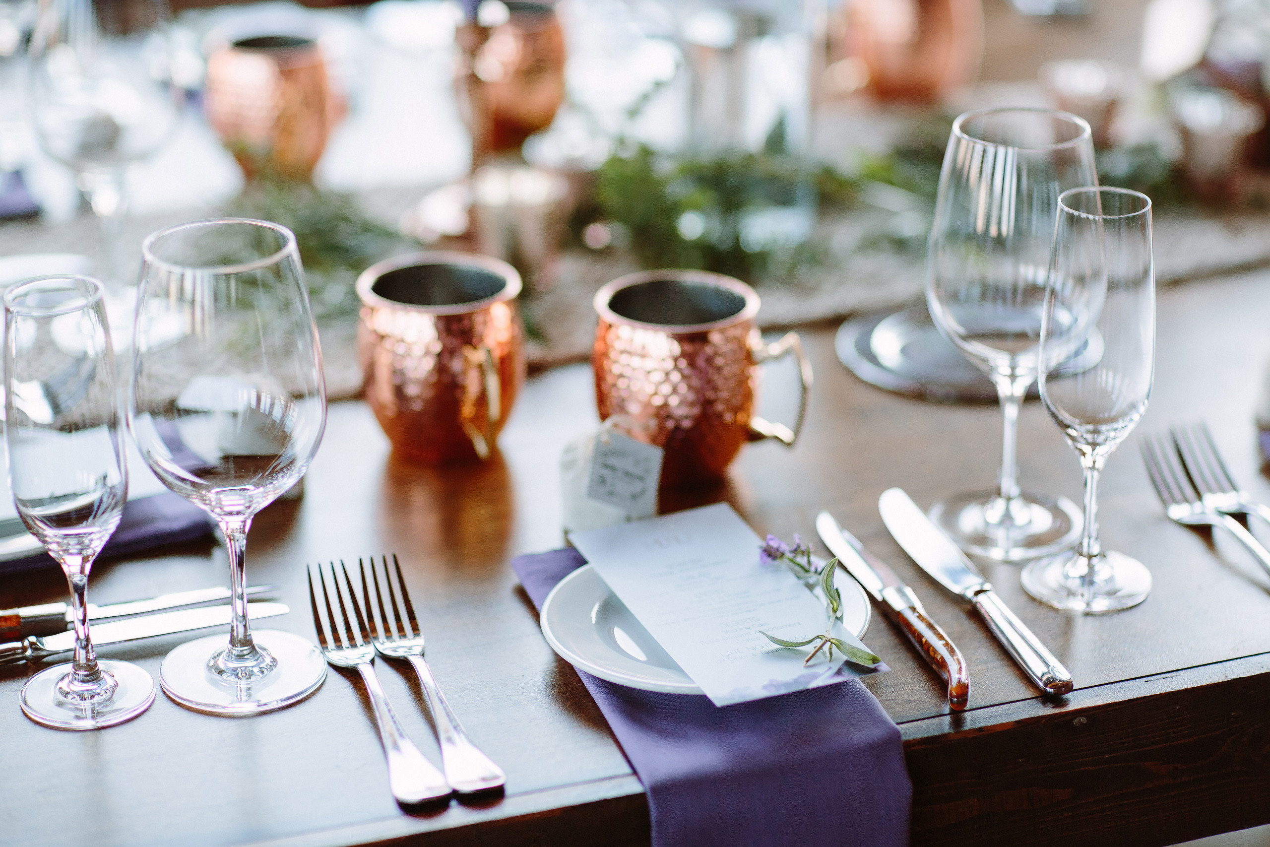 Wedding. Wedding family event photographer in Chicago Nick Yushevich