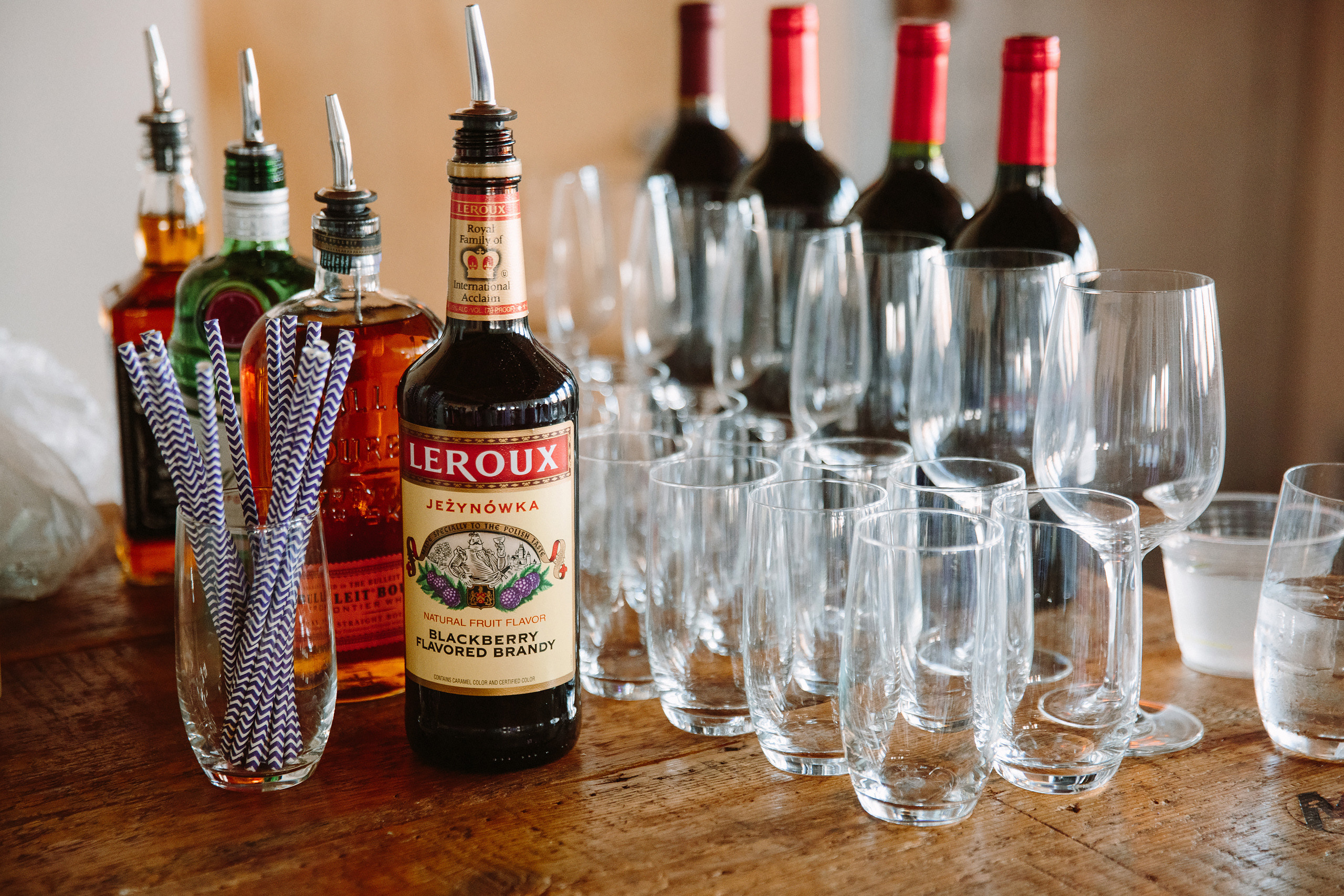 Wedding. Wedding family event photographer in Chicago Nick Yushevich