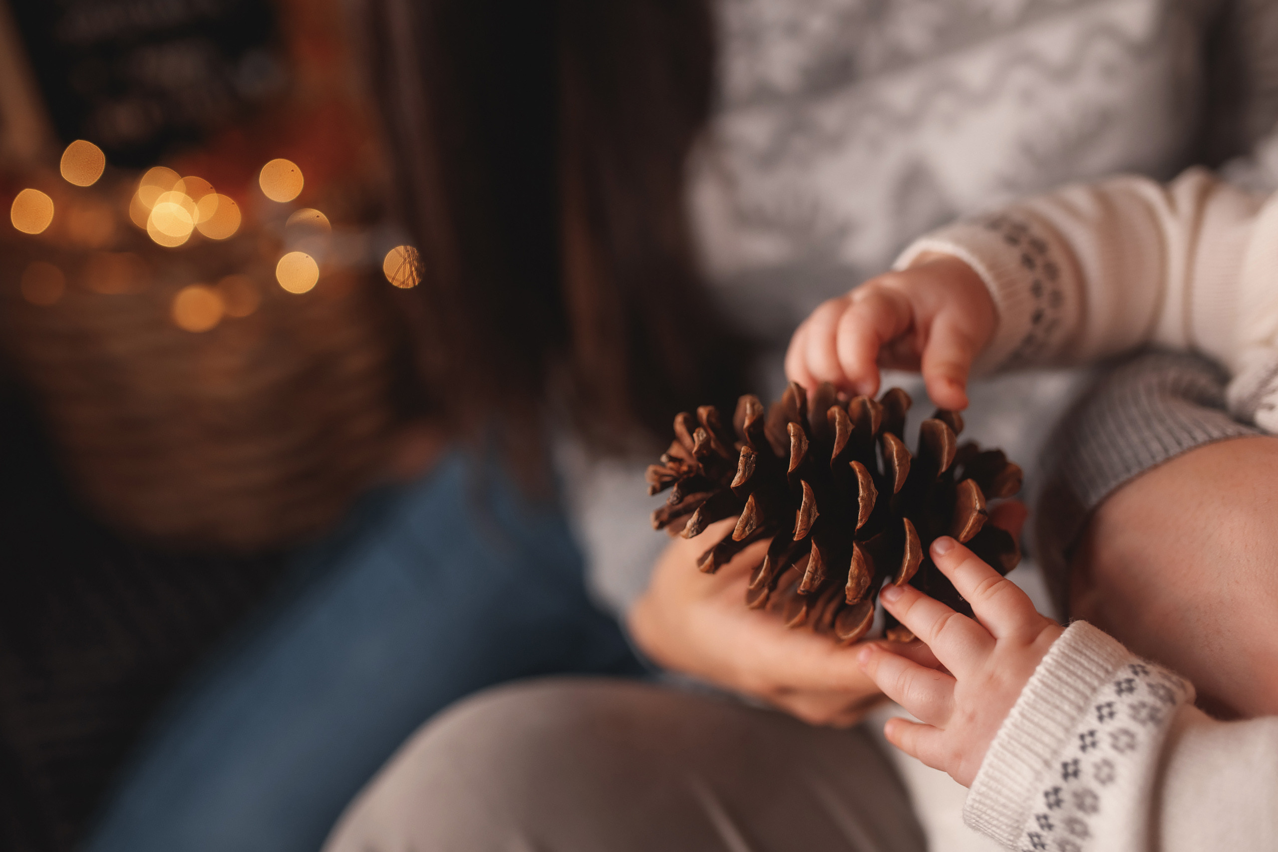 01102021 Christmas Family Photoshoot 24. Wedding family event photographer in Chicago Nick Yushevich