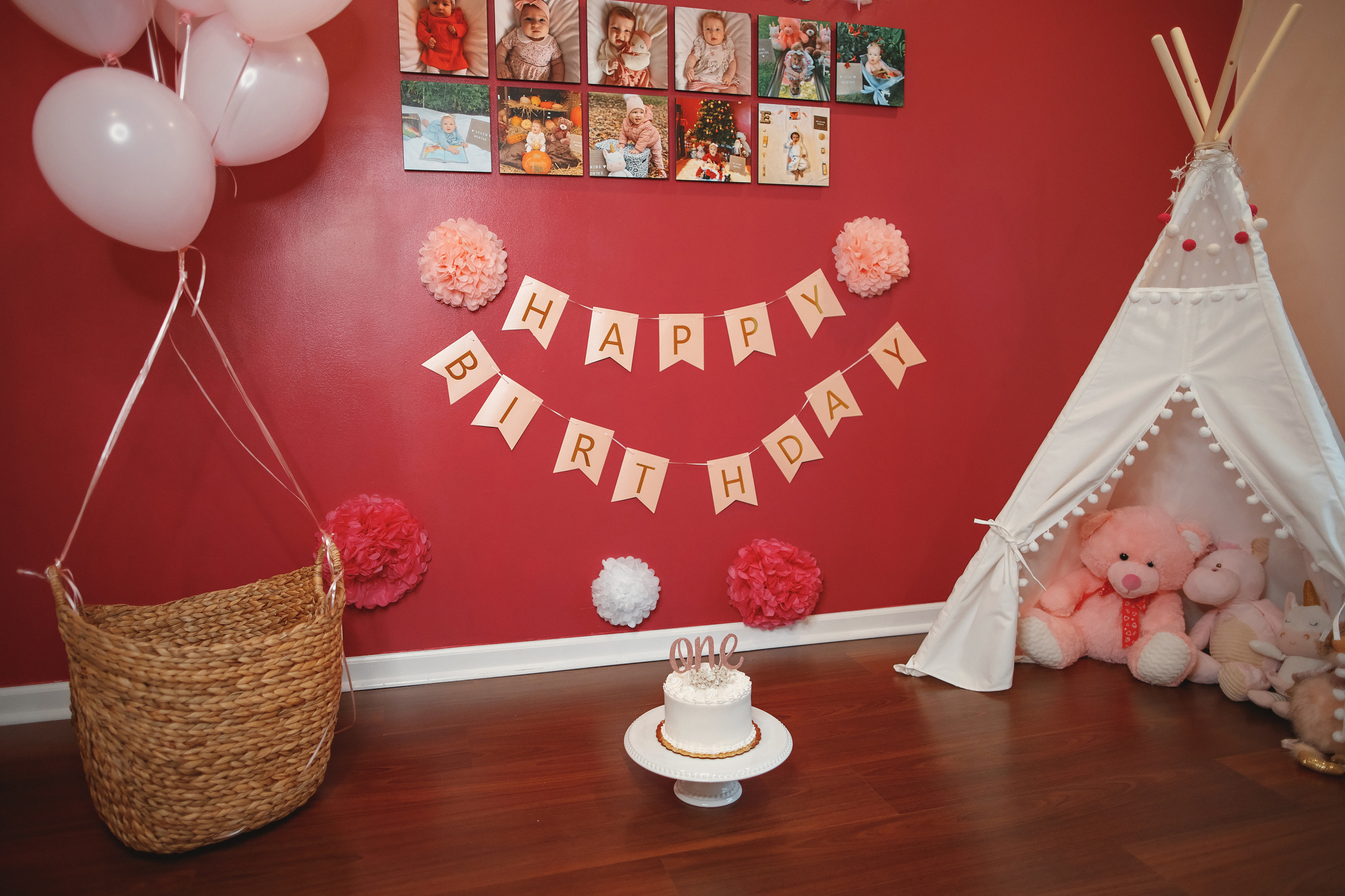 01.17.2021 First birthday. Wedding family event photographer in Chicago Nick Yushevich