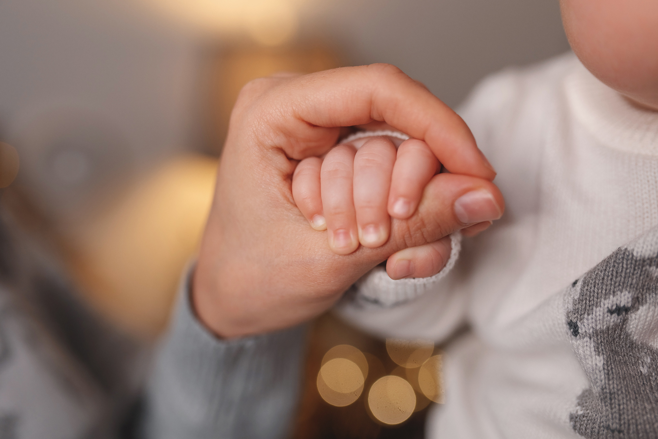 01102021 Christmas Family Photoshoot 24. Wedding family event photographer in Chicago Nick Yushevich