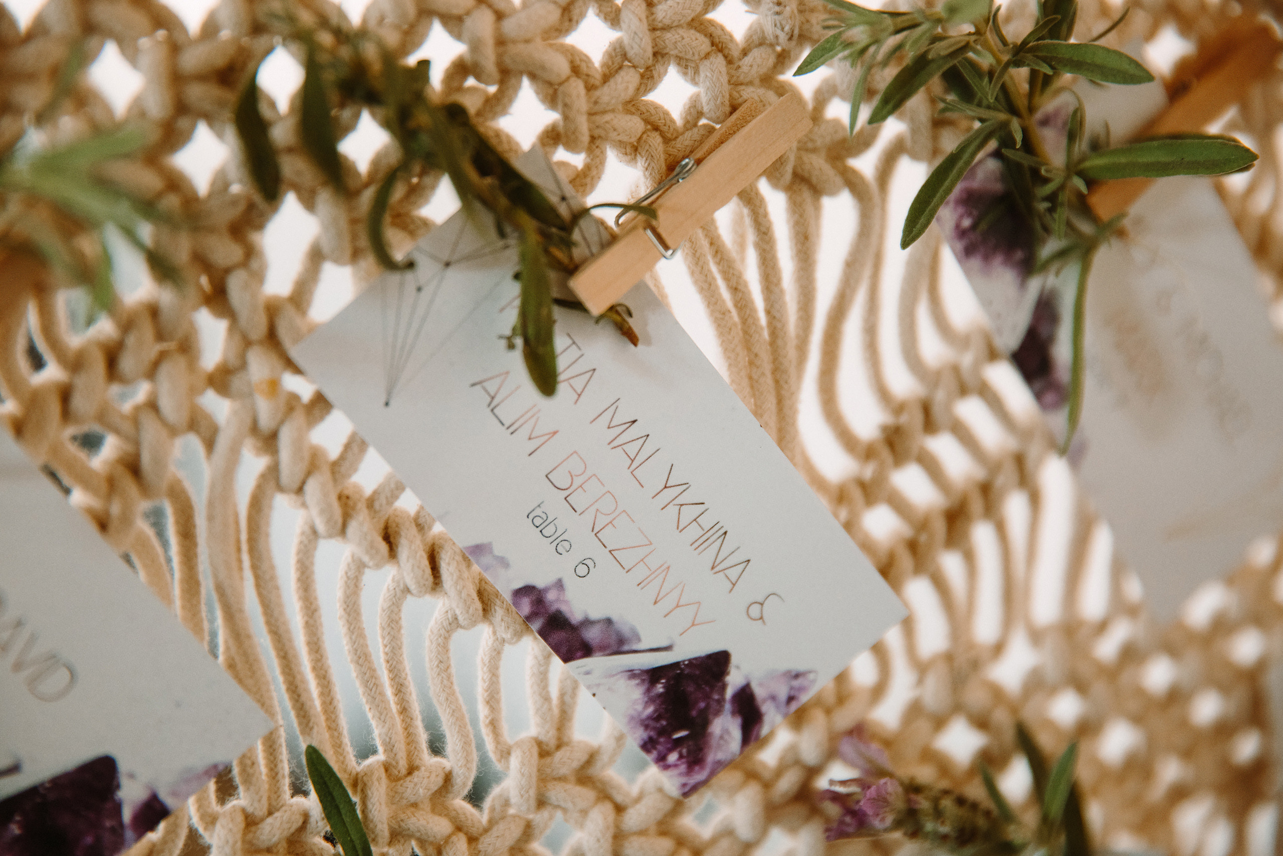 Wedding. Wedding family event photographer in Chicago Nick Yushevich