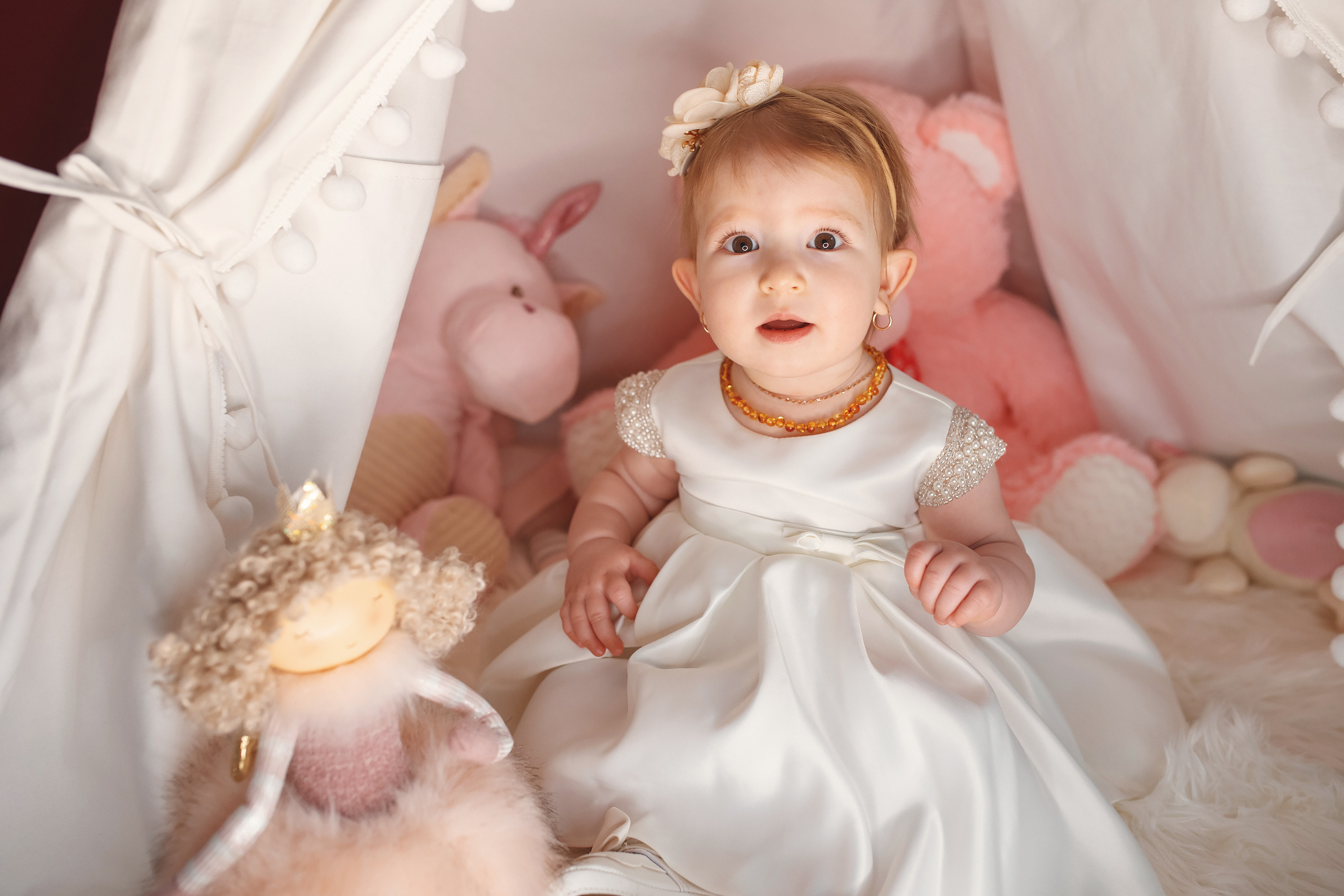 01.17.2021 First birthday. Wedding family event photographer in Chicago Nick Yushevich