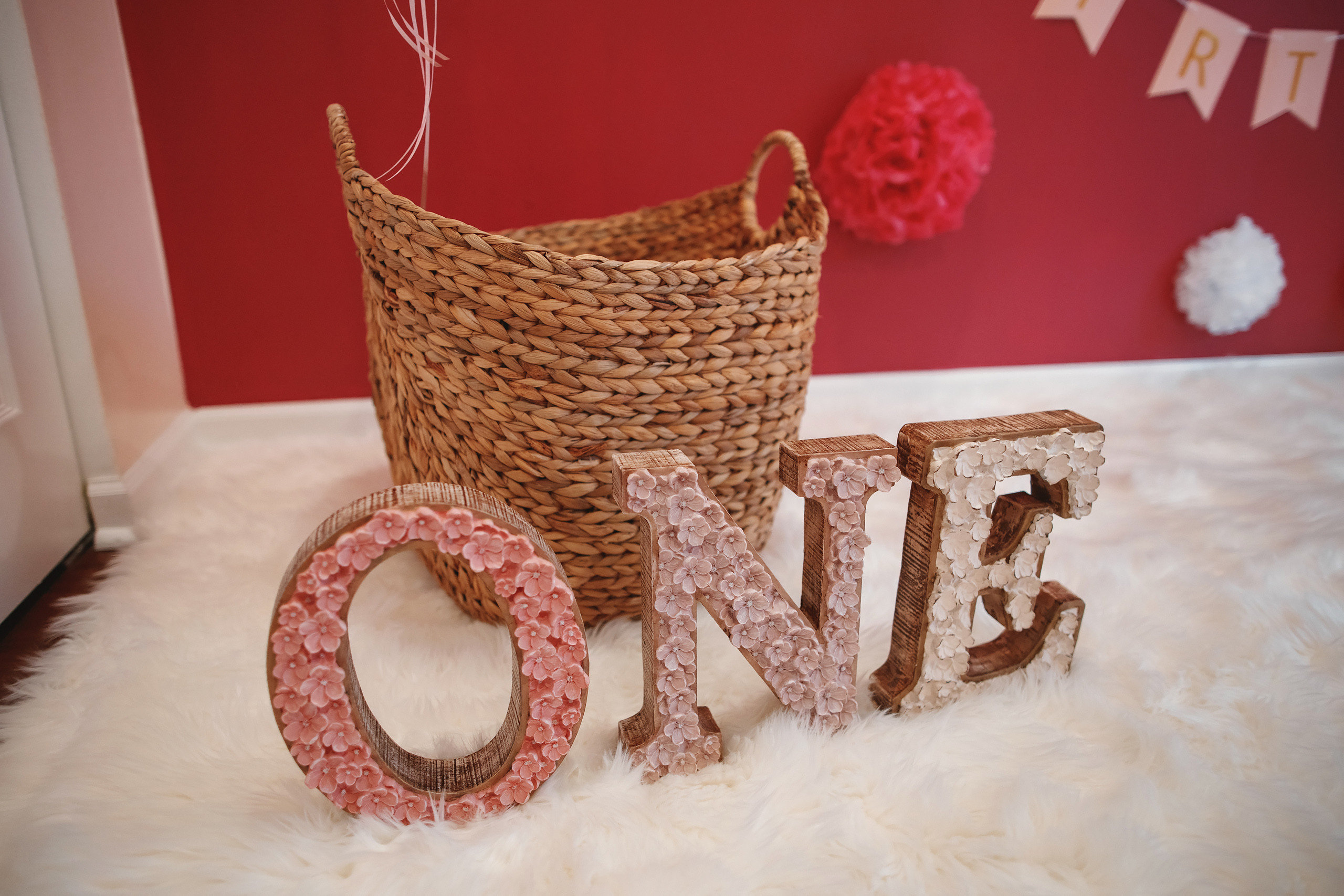 01.17.2021 First birthday. Wedding family event photographer in Chicago Nick Yushevich