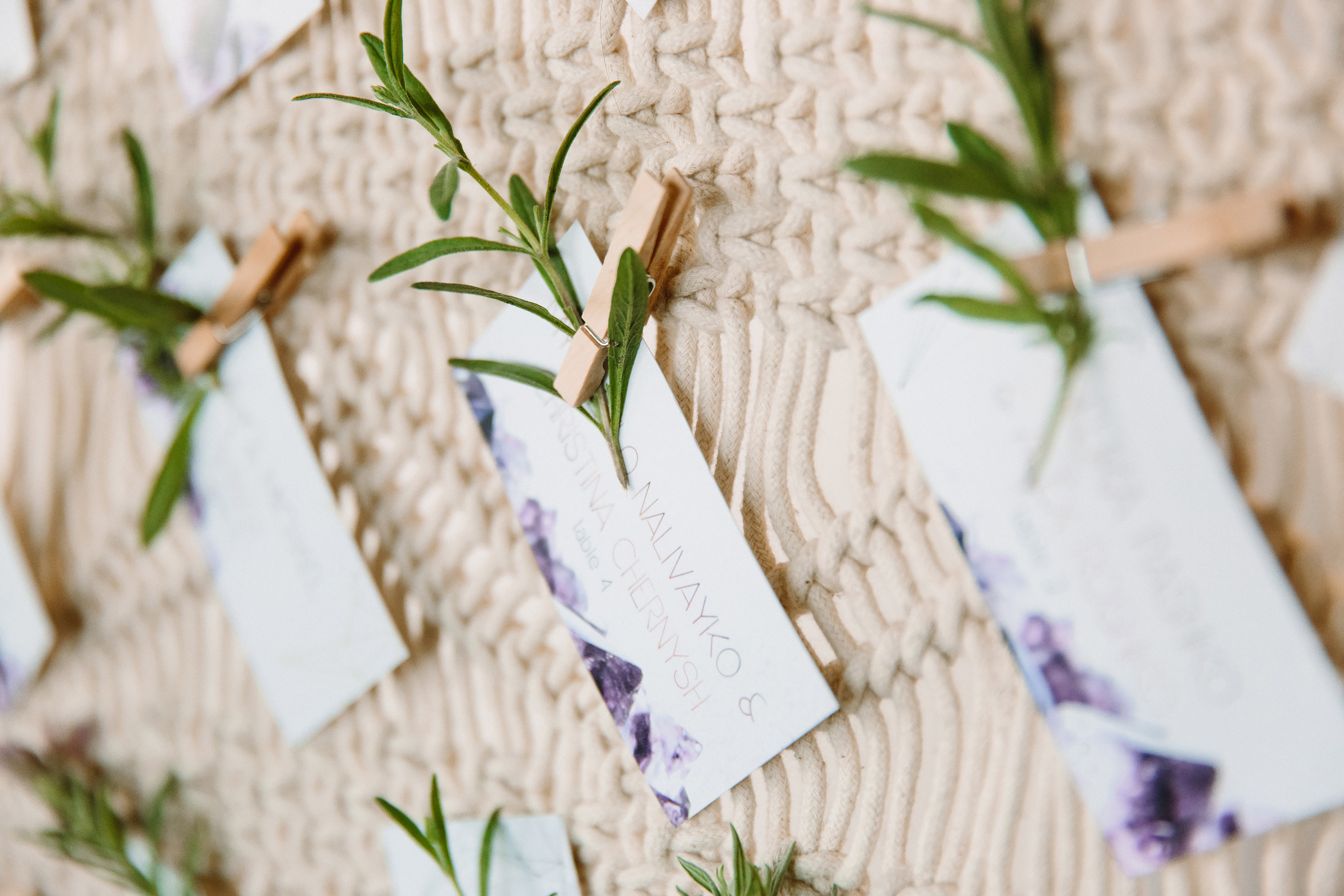 Wedding. Wedding family event photographer in Chicago Nick Yushevich