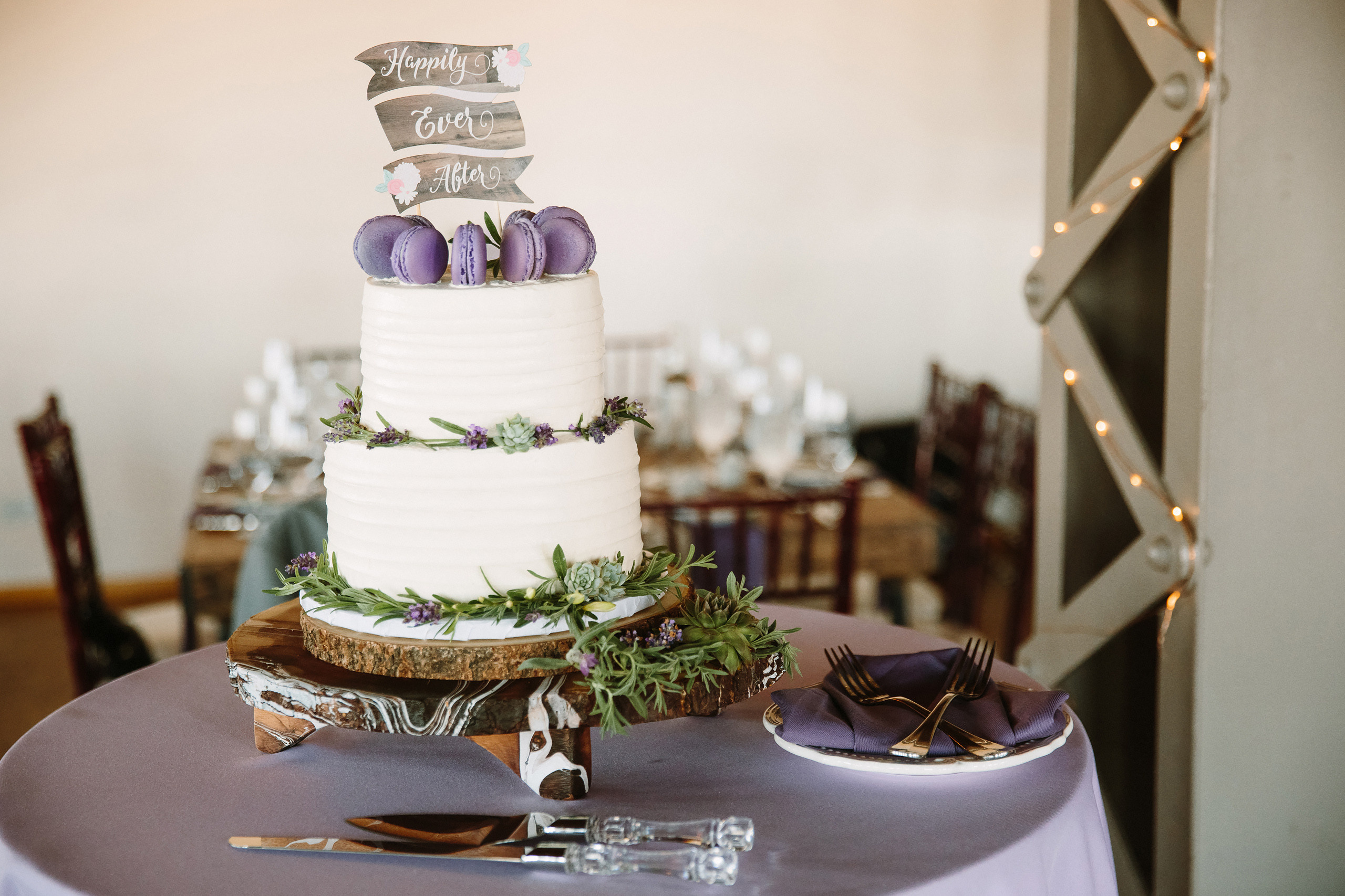 Wedding. Wedding family event photographer in Chicago Nick Yushevich