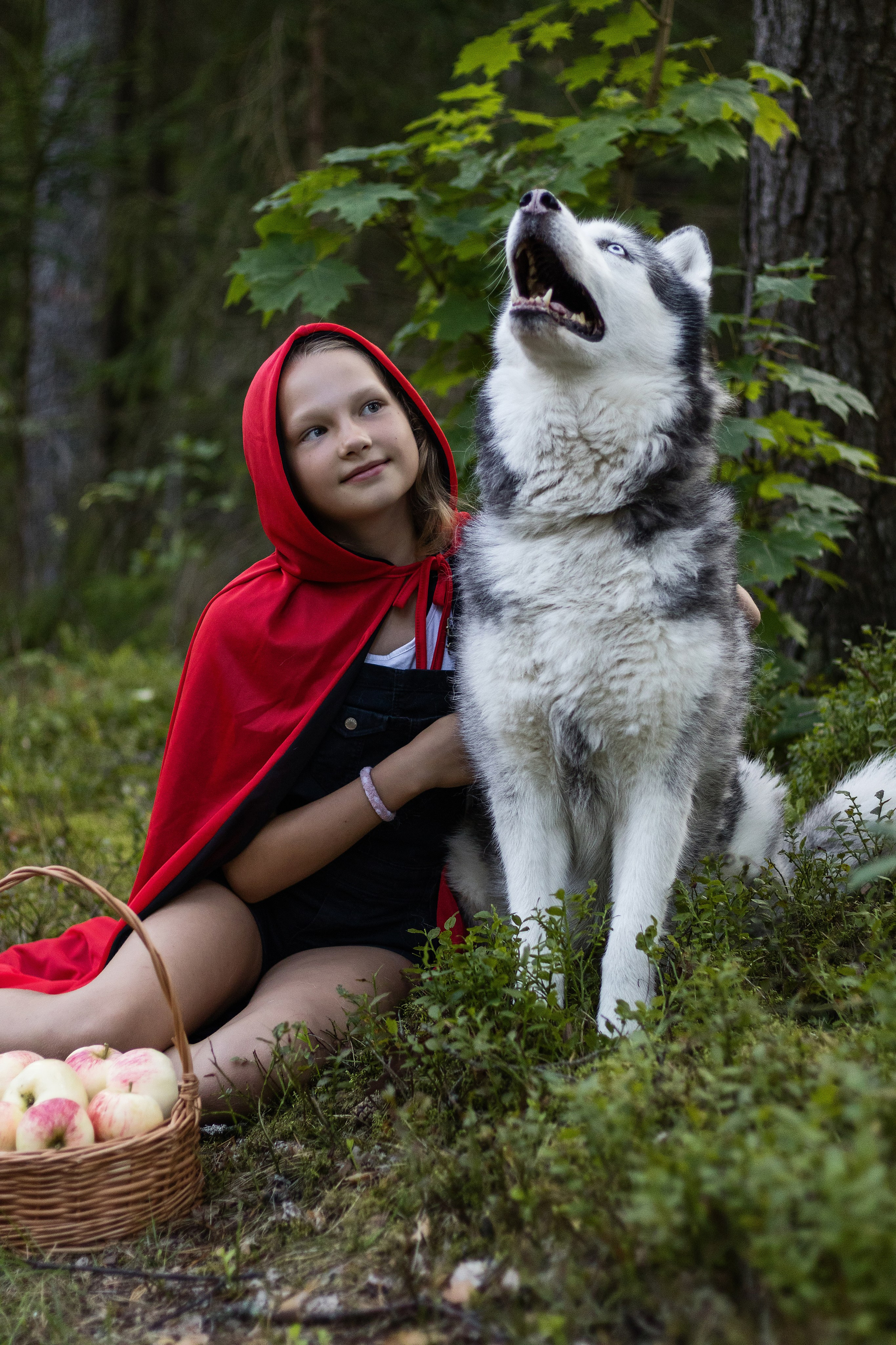 Фотосессия красная шапочка. Фотограф / Даугавпилс