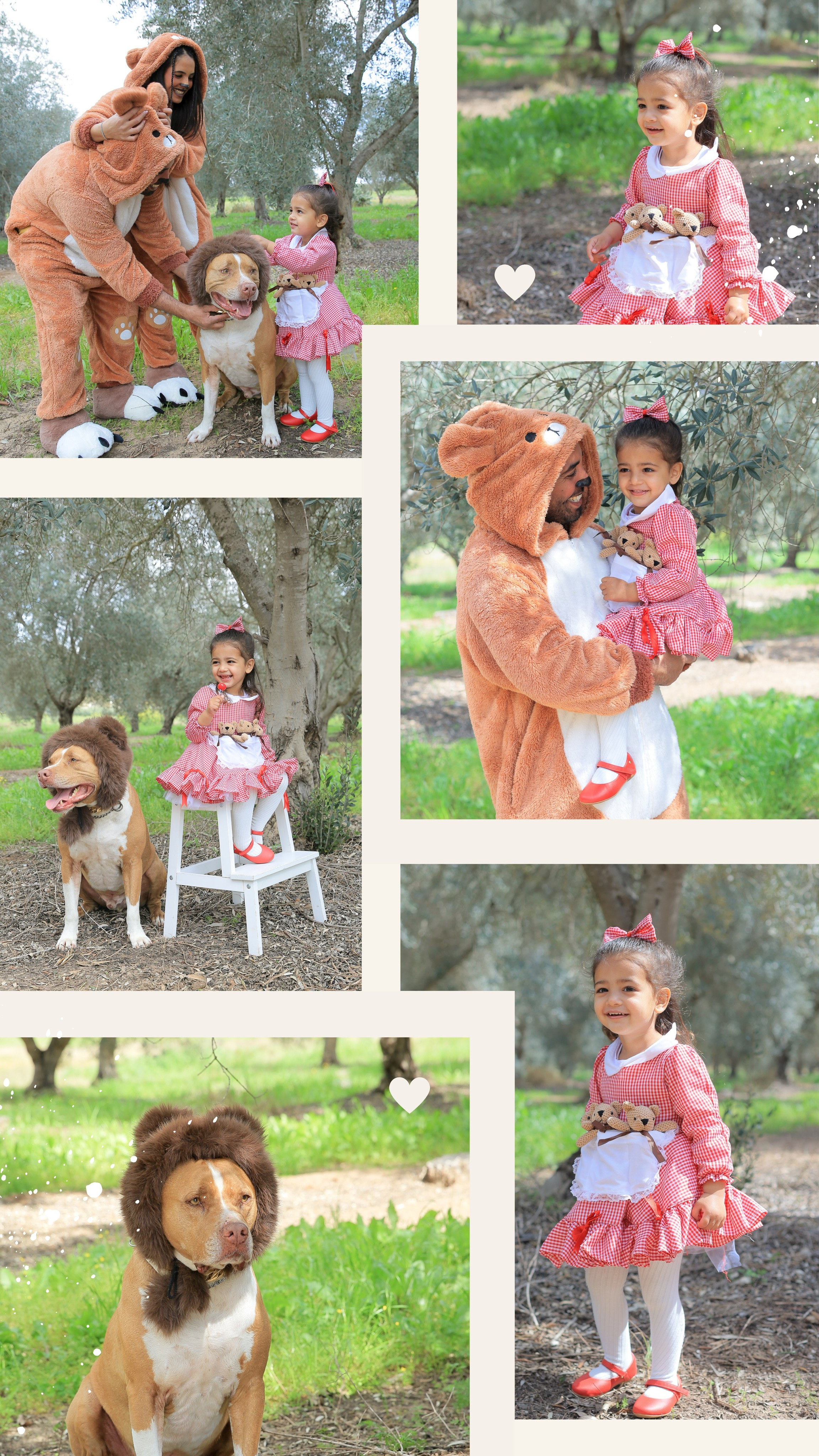 צילומי פורים בטבע. דף בית