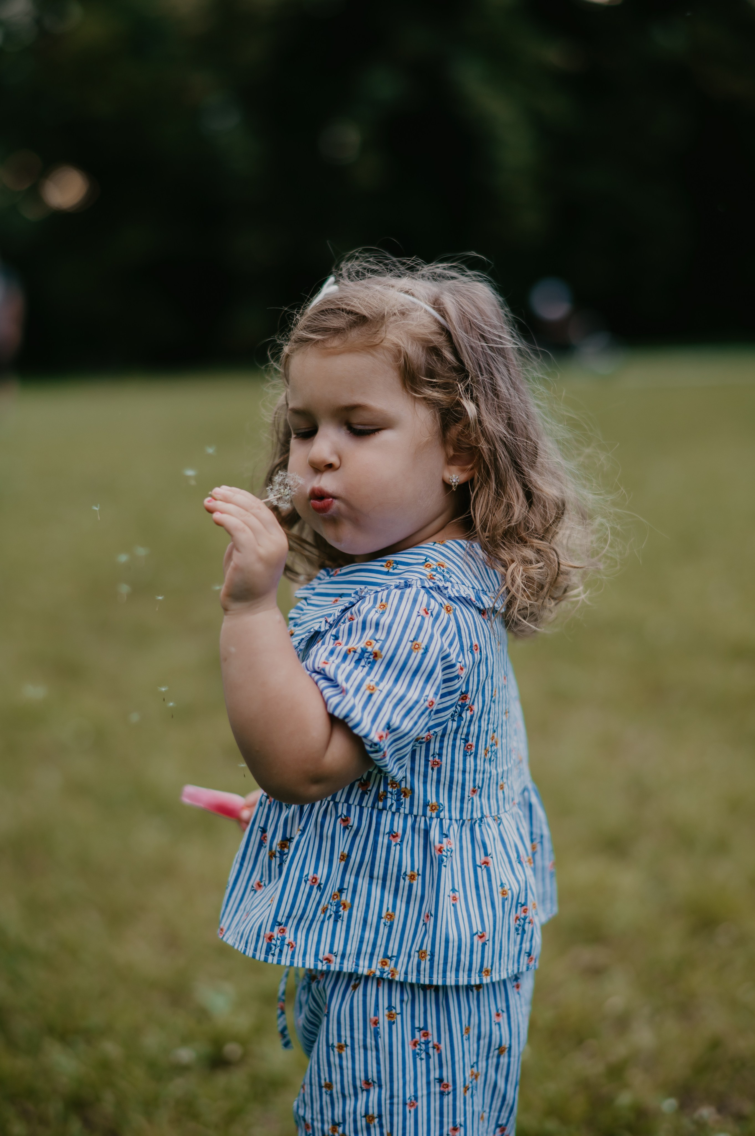 Sremska Kamenica. Ana Sladojevic